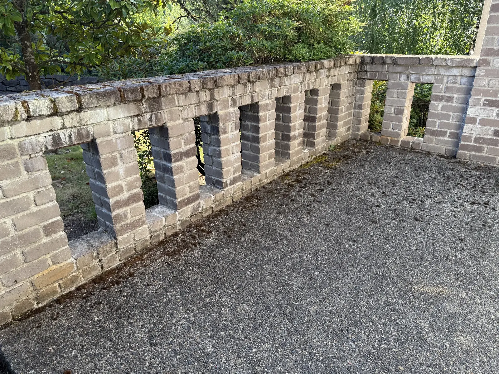 Brick wall and exposed-aggregate walkway before cleaning with dark mossy buildup
