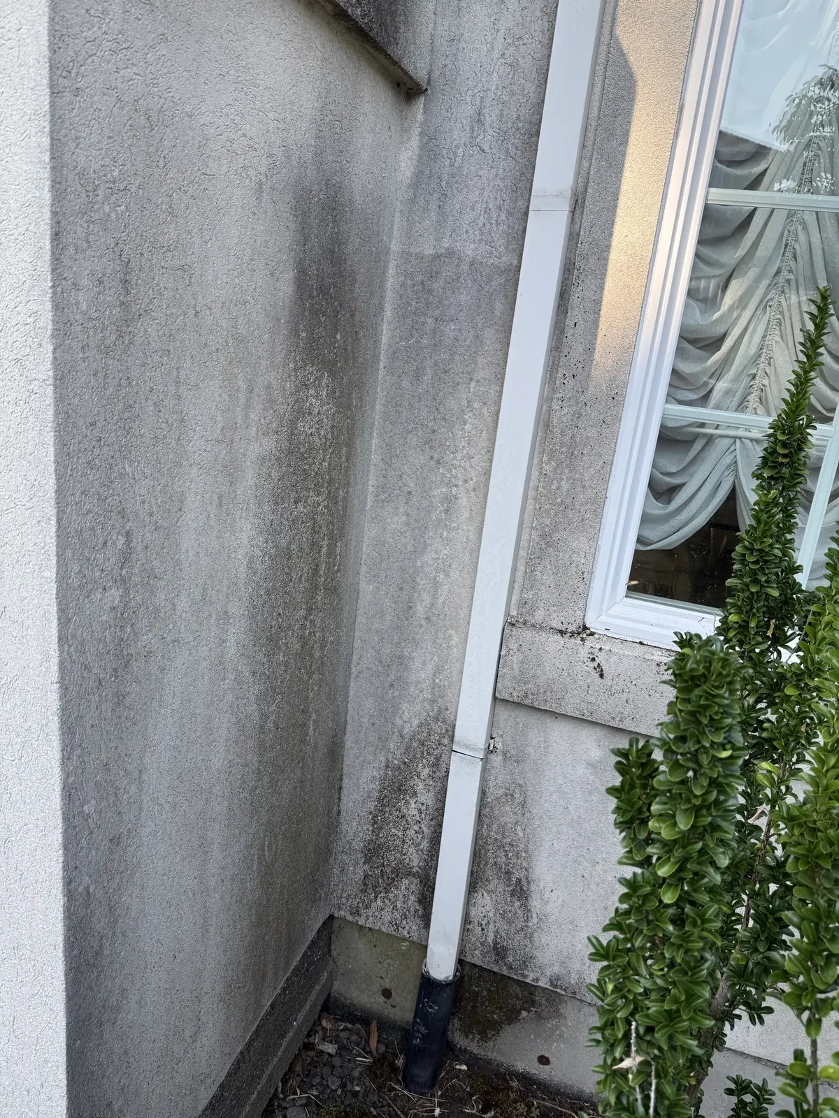 Dark vertical staining on EIFS siding at the front of a Beaverton-area home