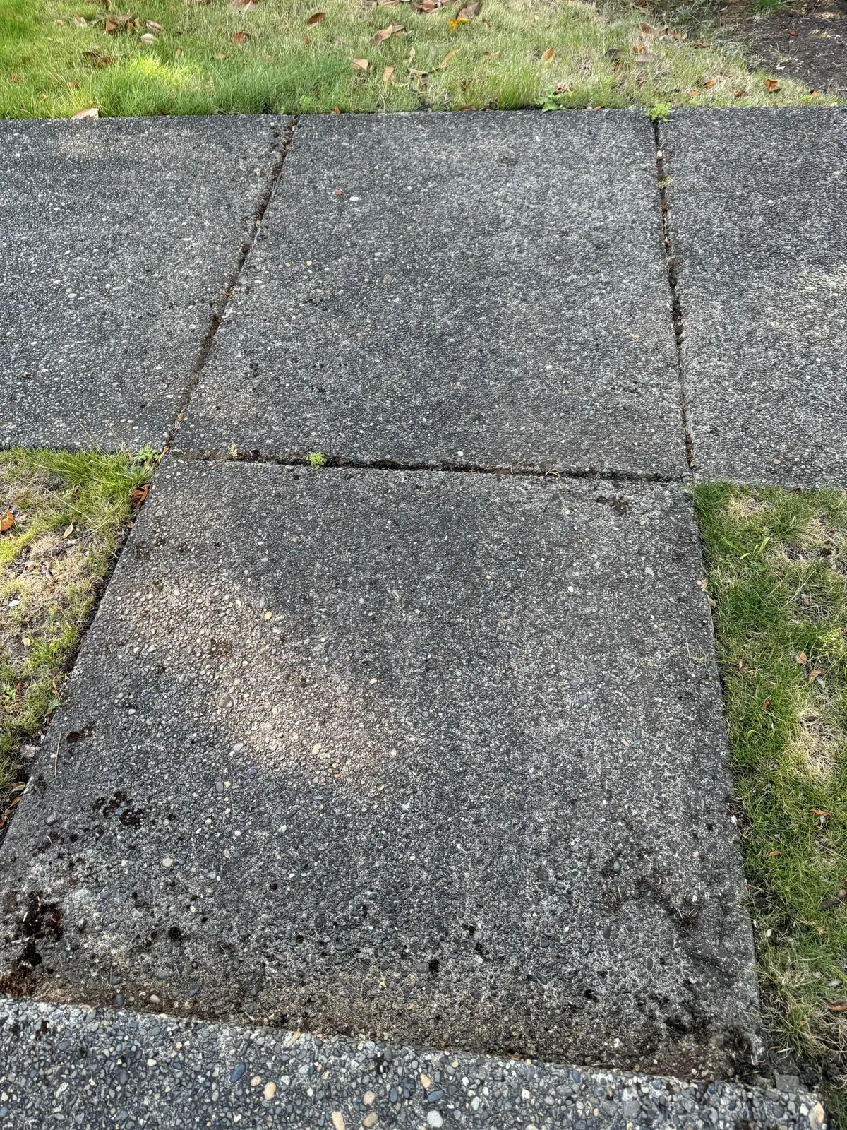 Dark exposed-aggregate front walkway before pressure washing