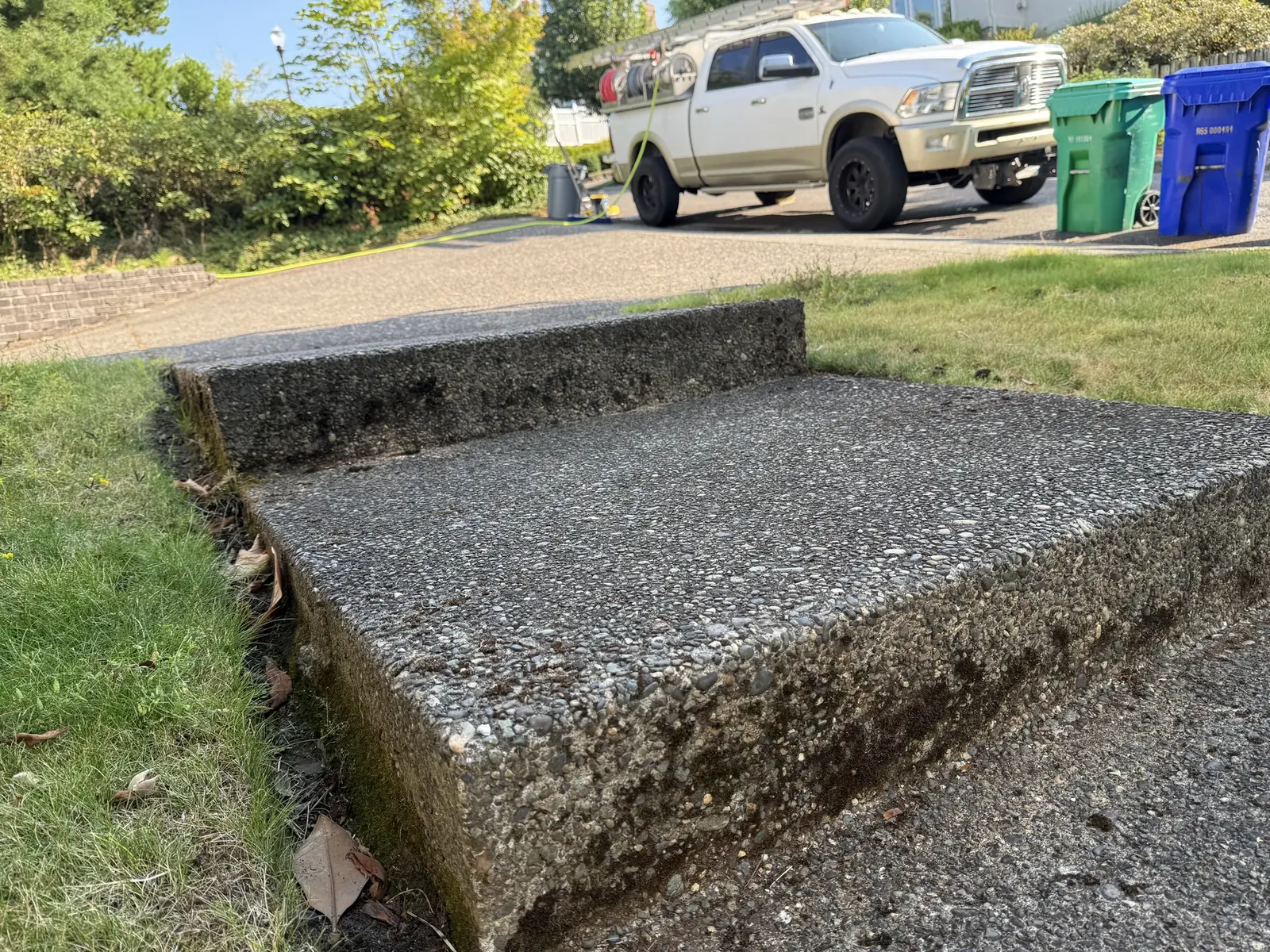 Moss and organic buildup on exposed-aggregate walkway steps before cleaning