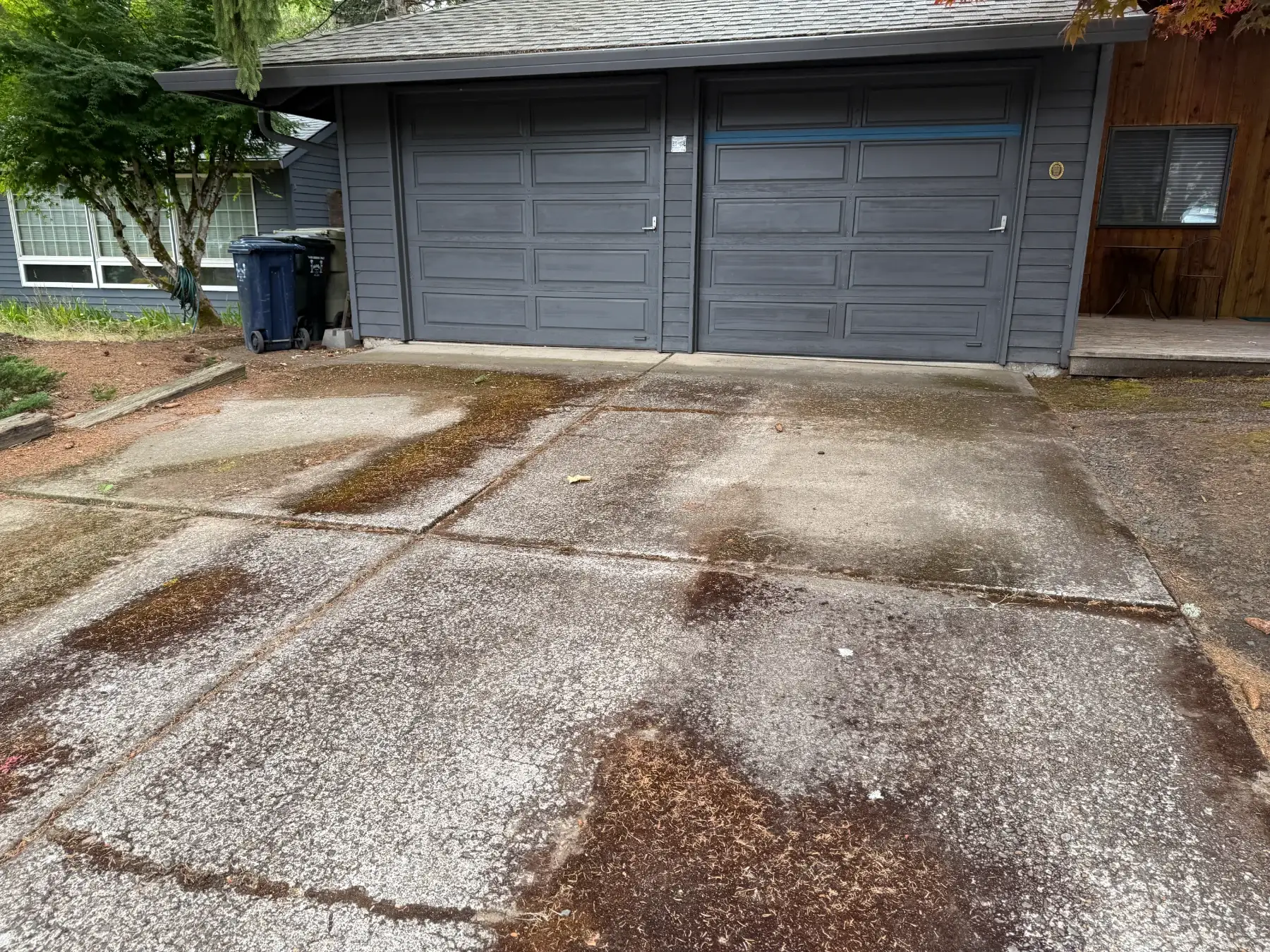 Heavy moss and dark buildup on driveway concrete in front of garage before pressure washing