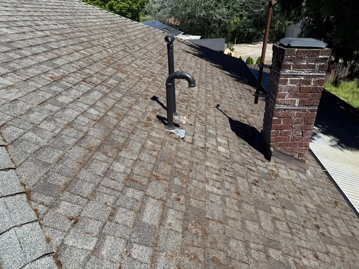 Roof after selective manual moss removal around vents and chimney near Beaverton Oregon
