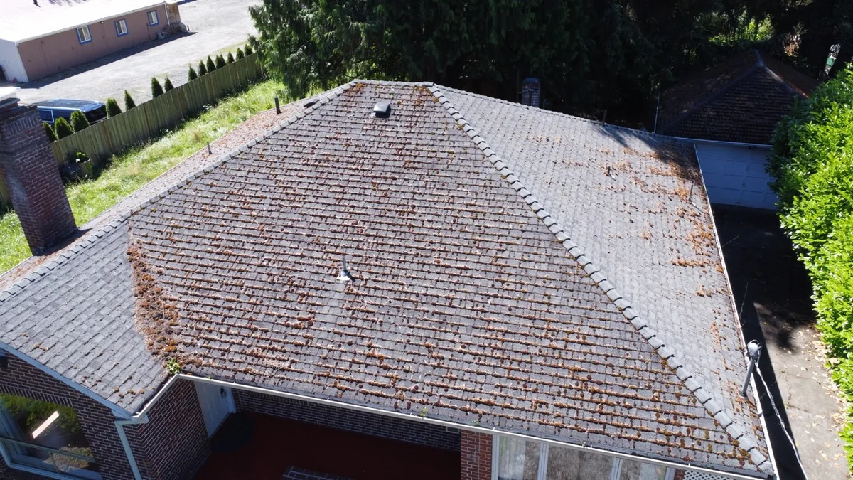Drone view of heavy moss on an asphalt shingle roof before cleaning near Beaverton and Aloha Oregon