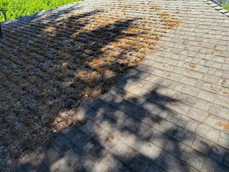 Heavy moss on shaded asphalt shingles before careful roof cleaning near Aloha, Oregon