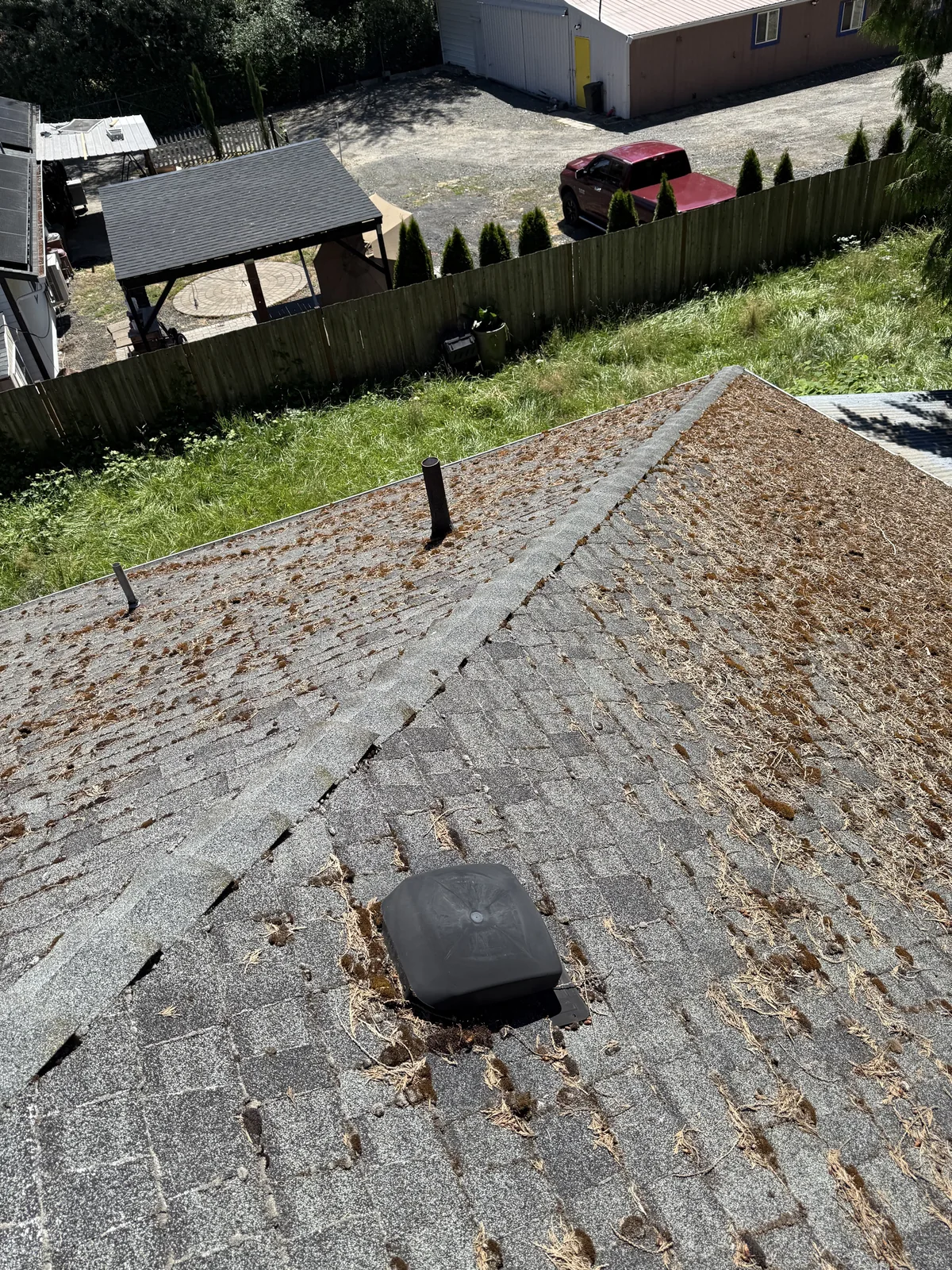 Moss buildup across a roof ridge and shaded shingles before cleaning near Beaverton and Aloha