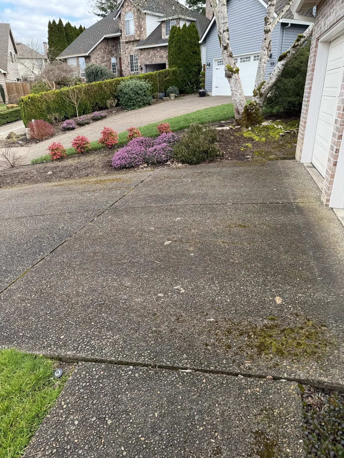 Moss and buildup on exposed-aggregate concrete in Five Oaks