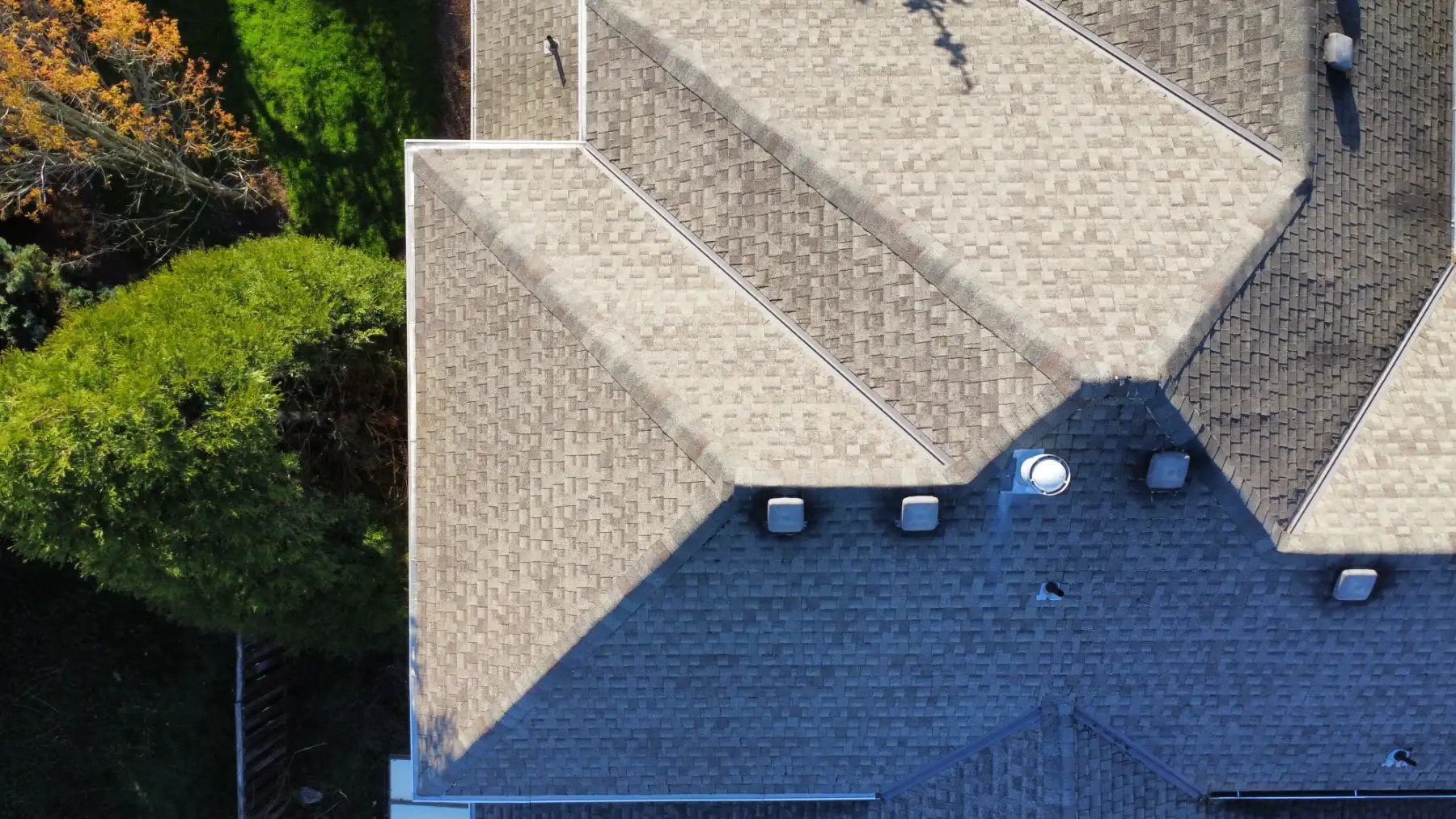 Clean asphalt shingle roof plane in Beaverton that did not need full roof cleaning
