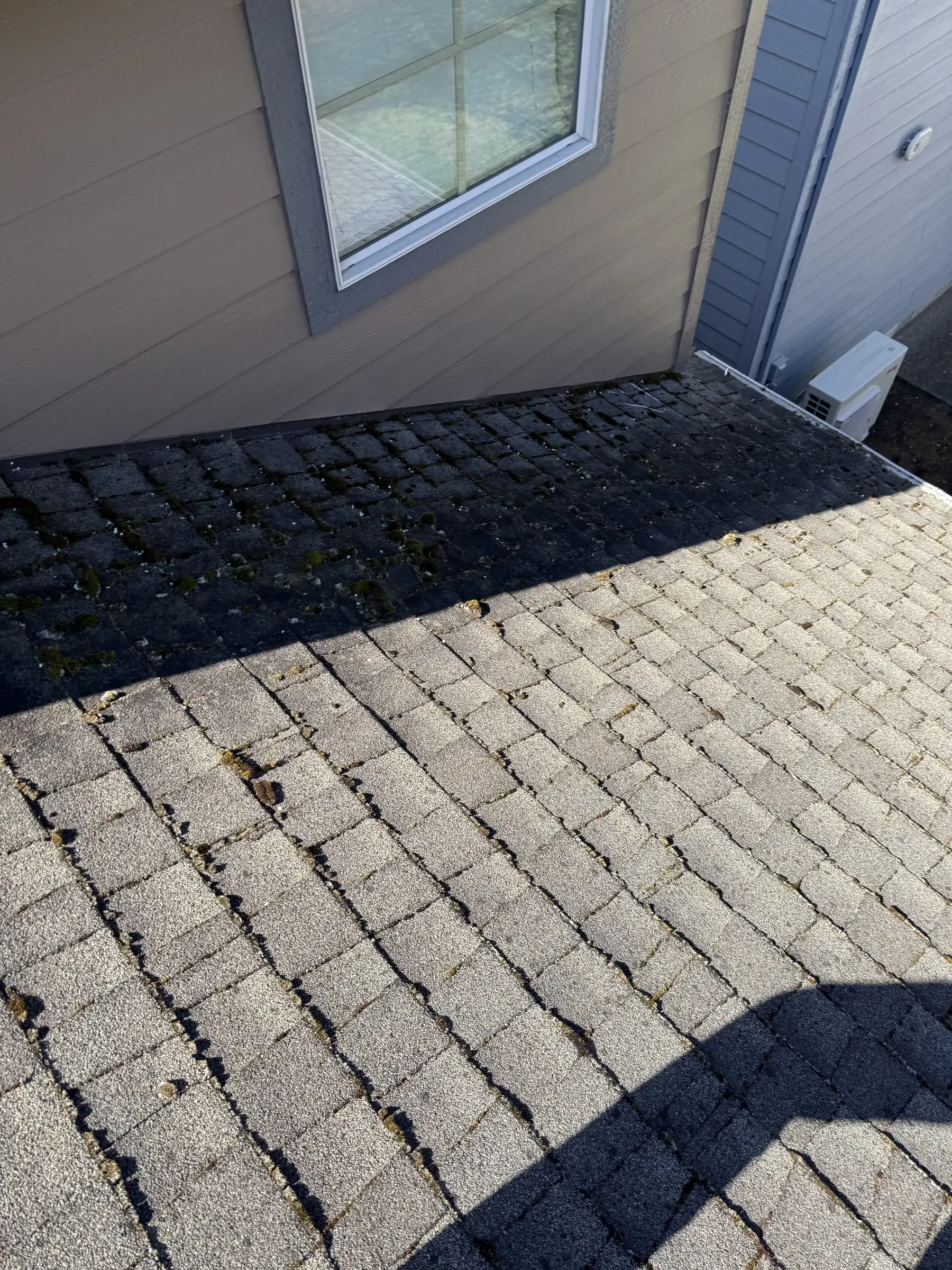 Cleaned and treated roof area beside a Beaverton home wall after moss removal
