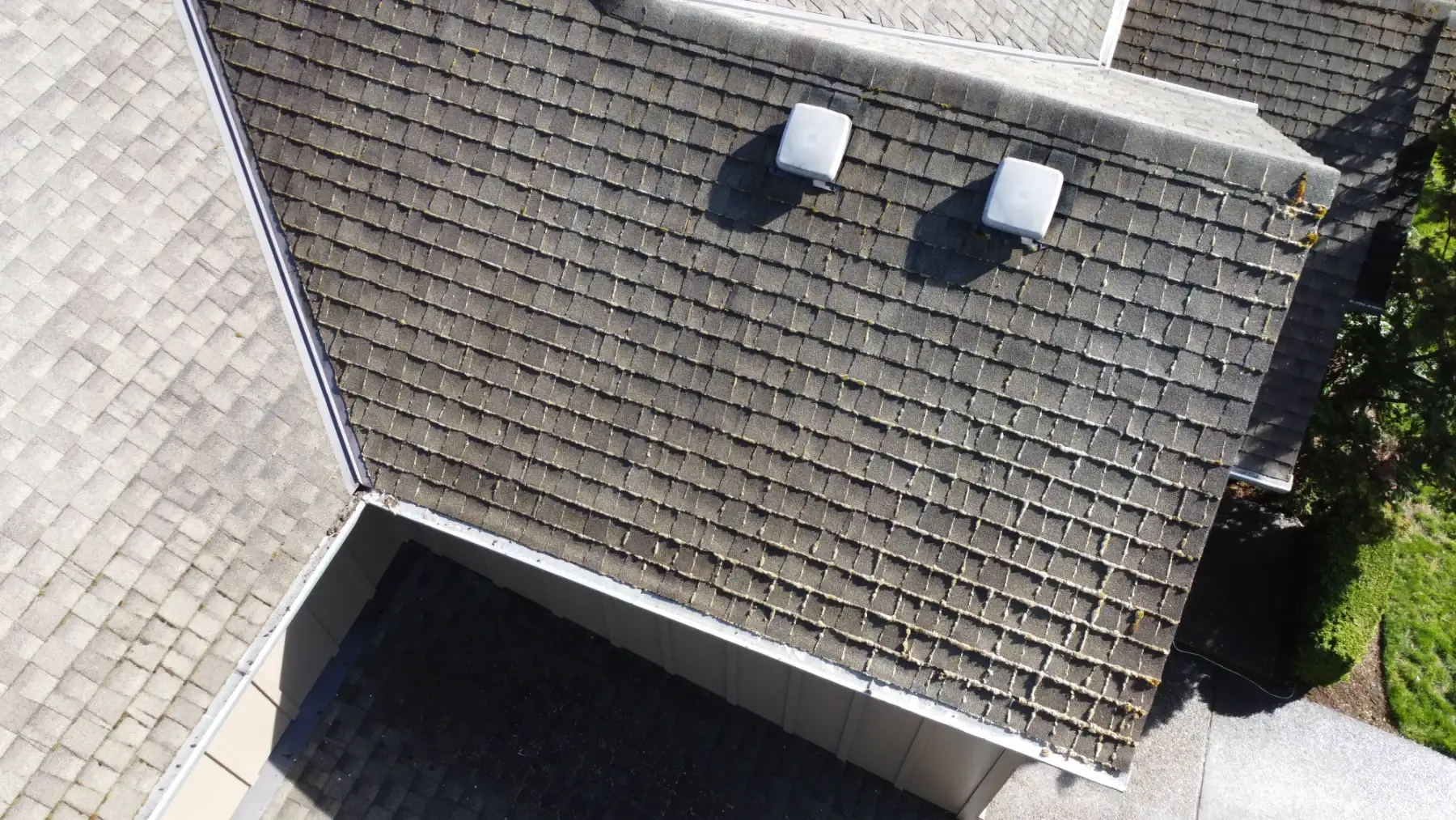 Beaverton garage roof overview before partial moss treatment and cleaning