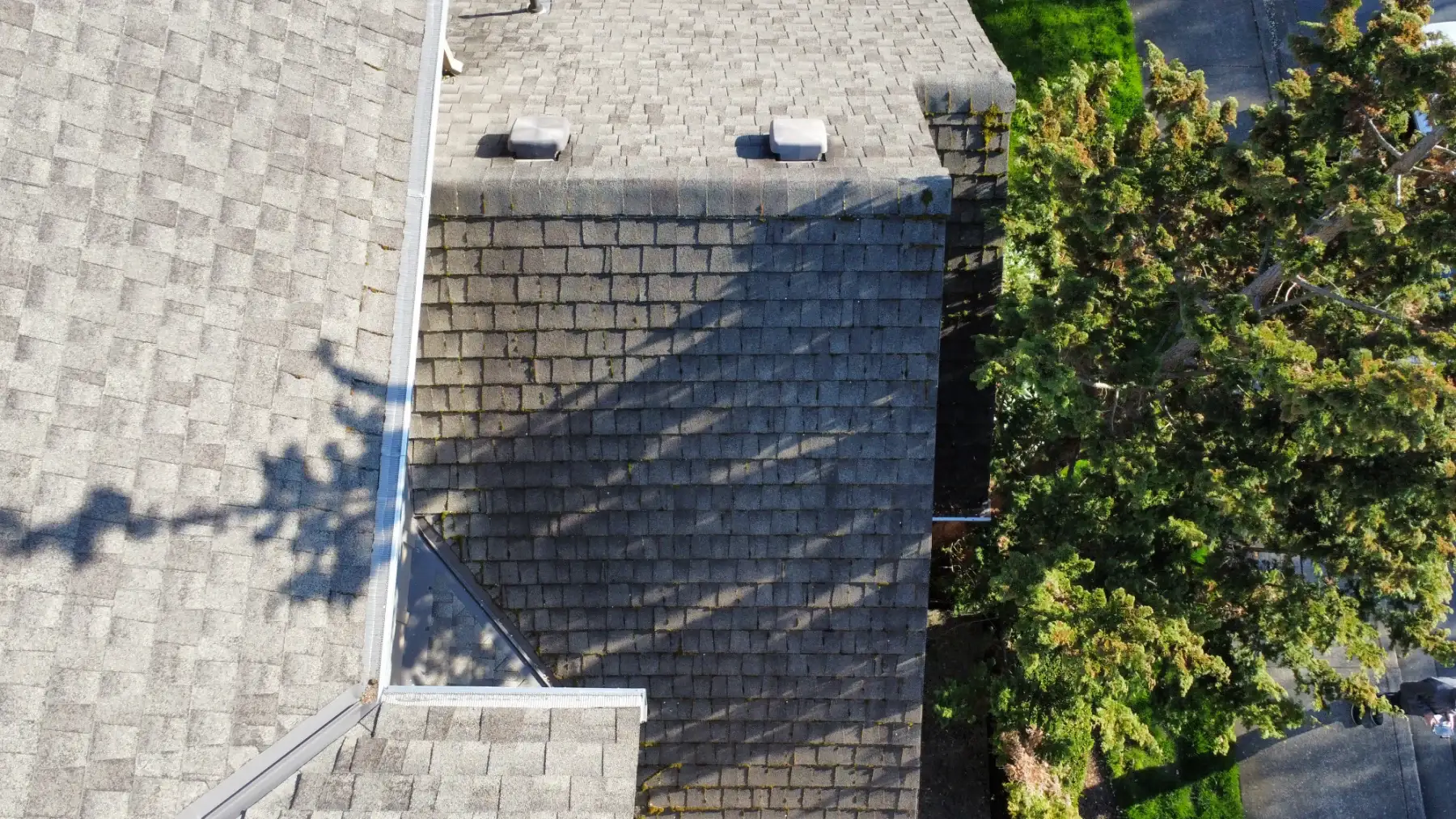 Beaverton roof section near trees where shade contributed to localized moss growth