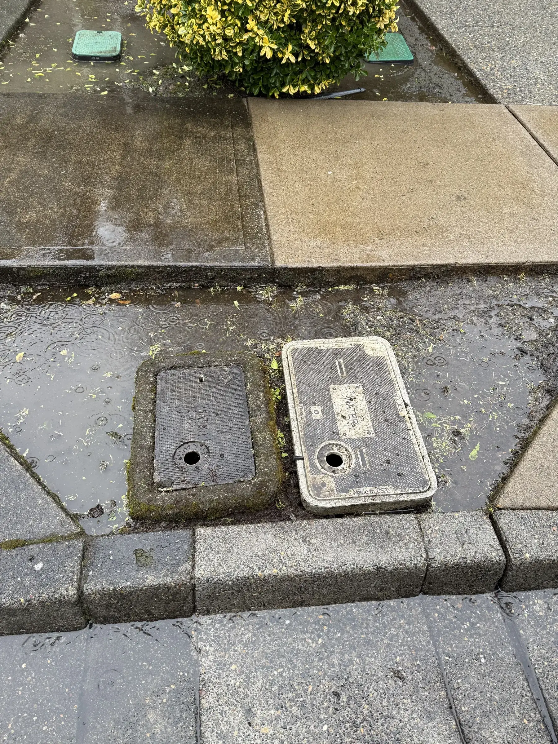 Curb-side concrete and sidewalk after rainy-day driveway cleaning in Beaverton