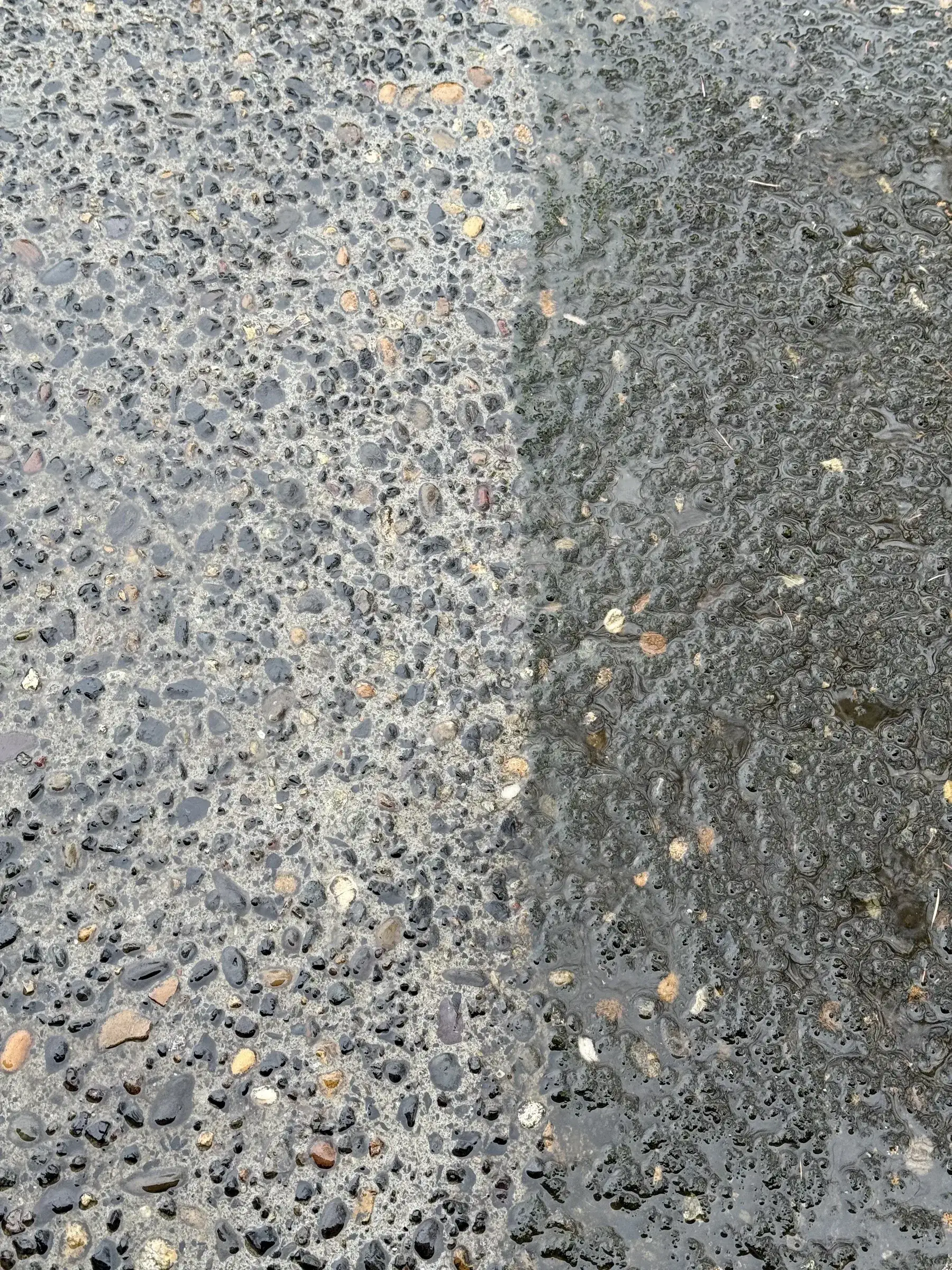 Close detail of exposed aggregate driveway with moss and loosened debris during cleaning