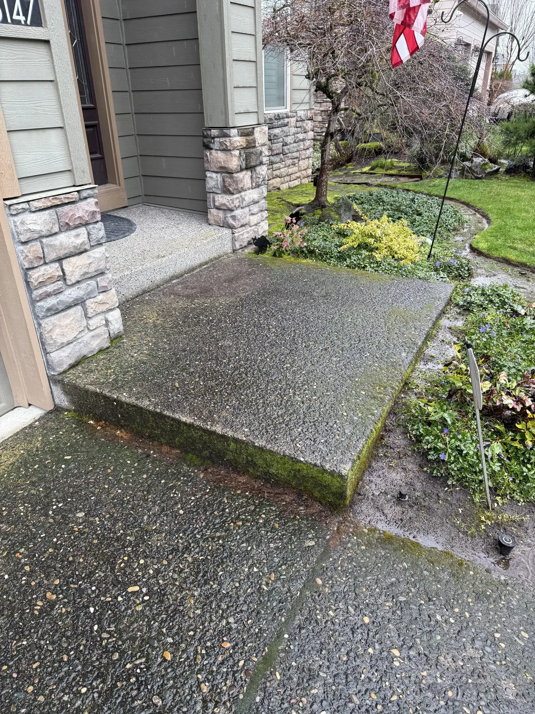 Front entry exposed aggregate pad before cleaning with mossy wet edges near landscaping