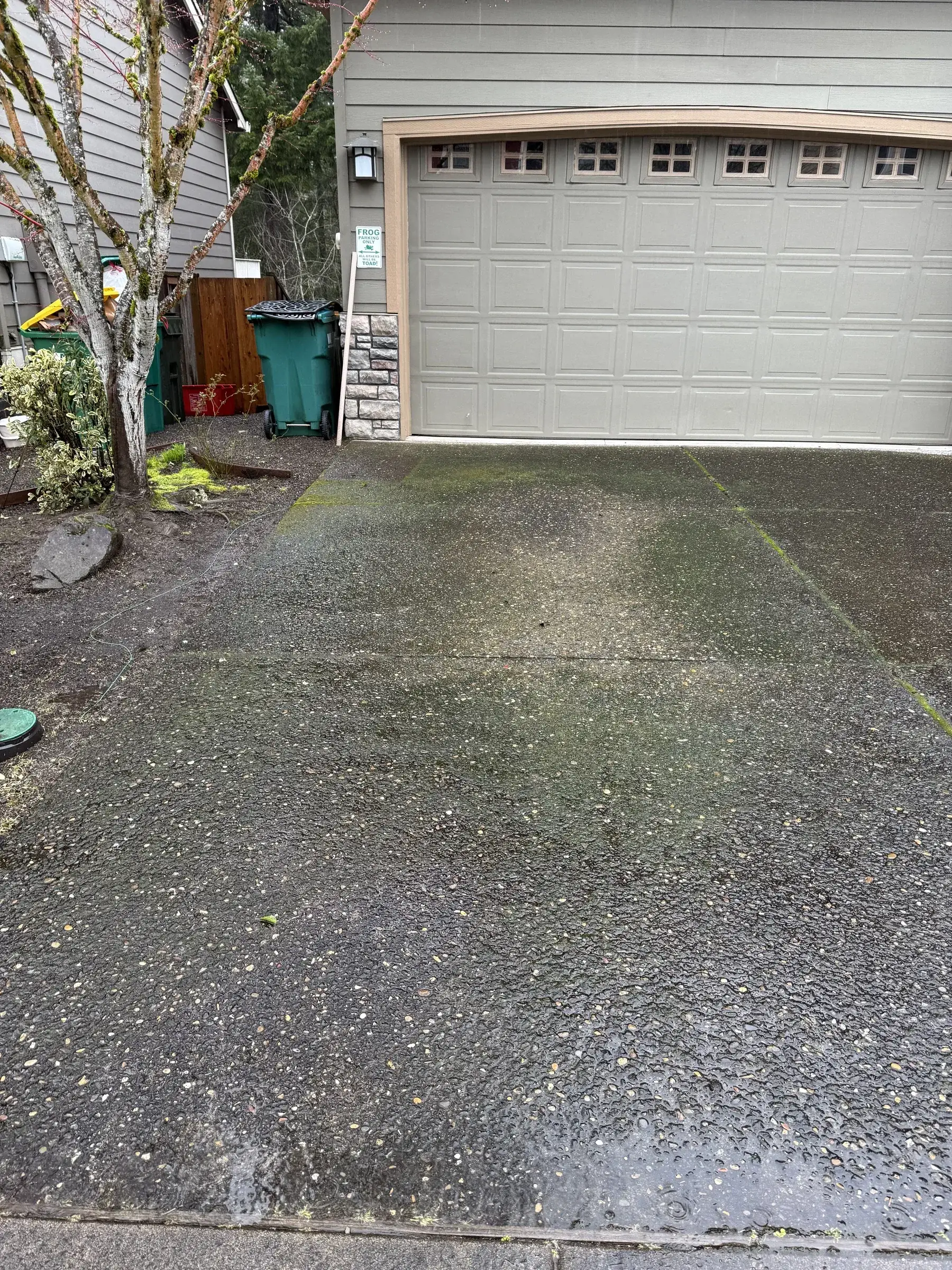 Mossy exposed aggregate driveway in South Beaverton before pressure washing on a rainy day