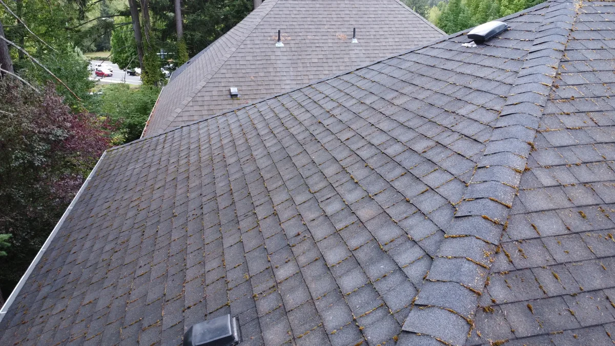 Brushed asphalt shingle roof with small remaining moss traces before treatment in Beaverton