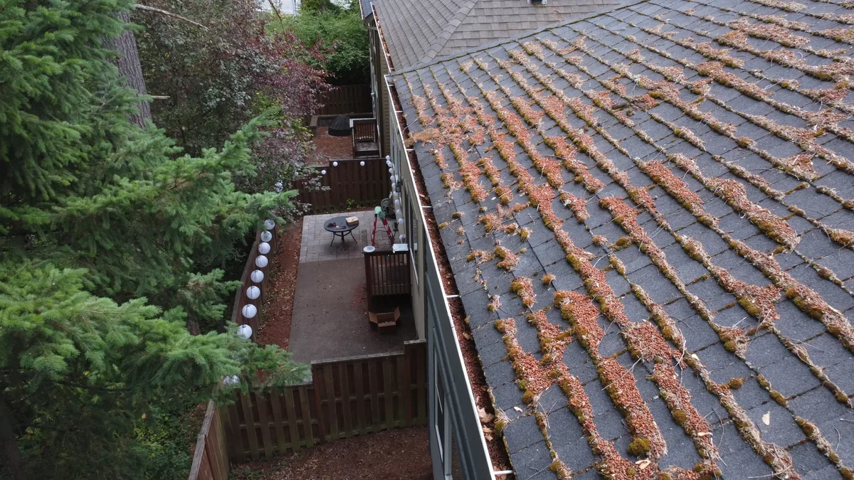 Tree-shaded roof slope with thick moss and pine needles before cleaning in Beaverton
