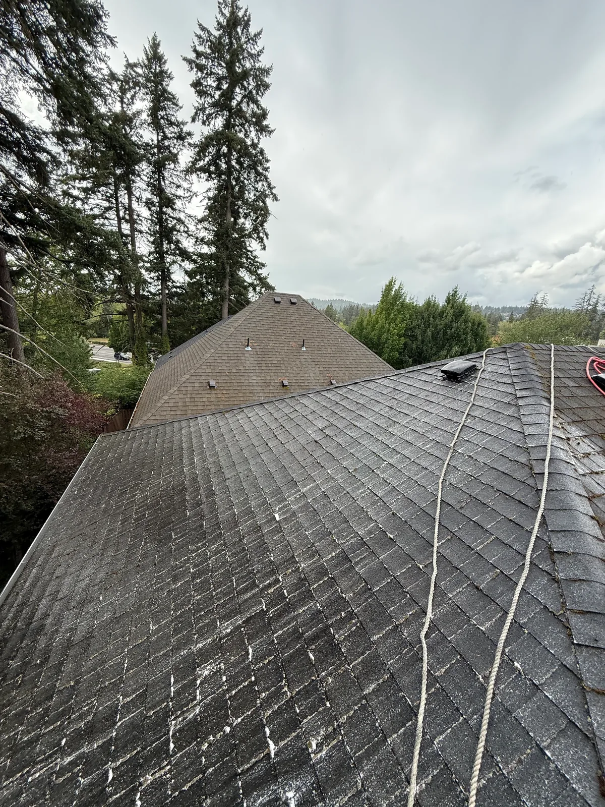 Cleaned asphalt shingle roof after whole-roof moss treatment in Beaverton