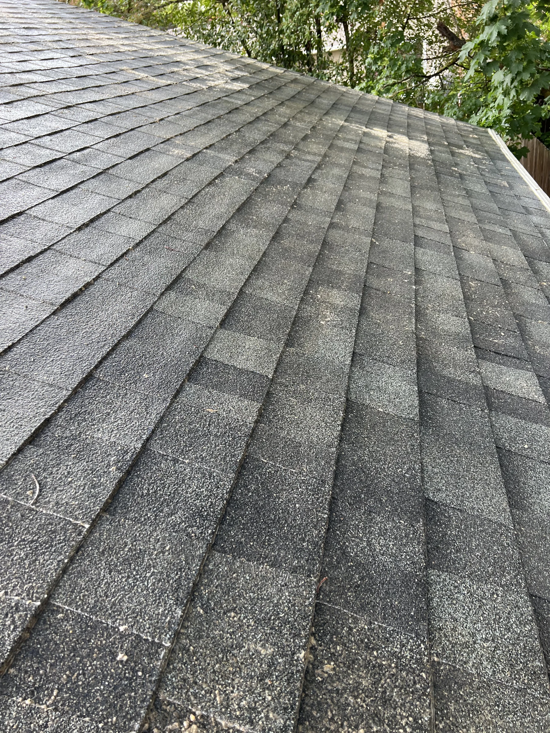 Cleaned asphalt shingle plane after roof debris removal and moss treatment in Beaverton