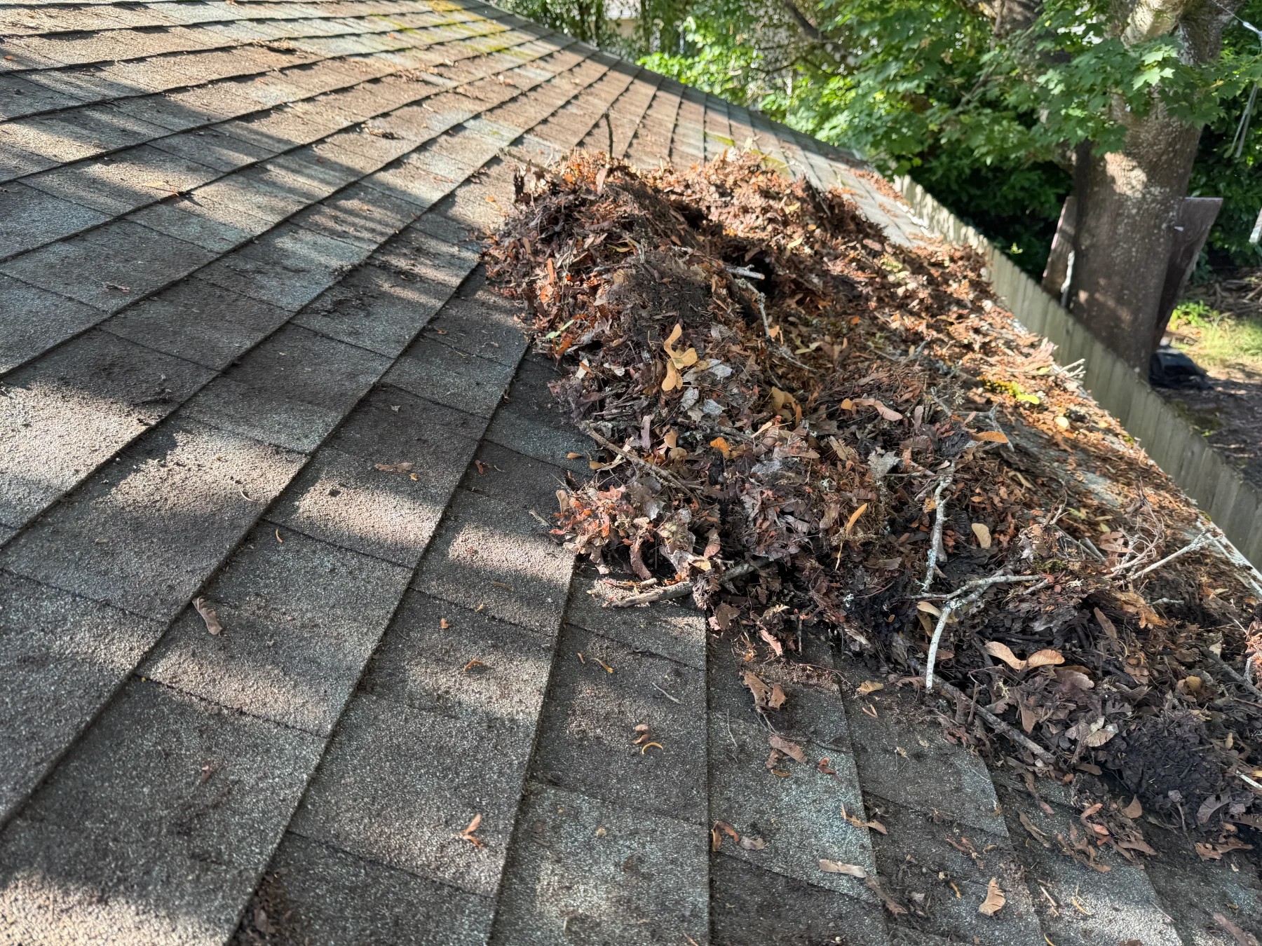 Pile of leaves sticks and roof debris removed during Beaverton roof and gutter cleaning