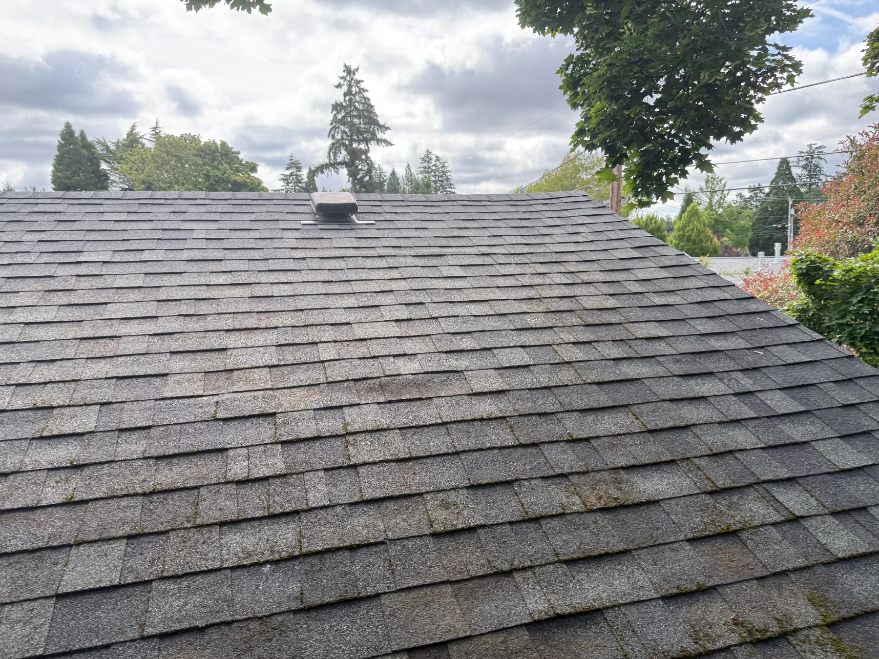 Finished asphalt shingle roof slope after roof moss treatment in Beaverton