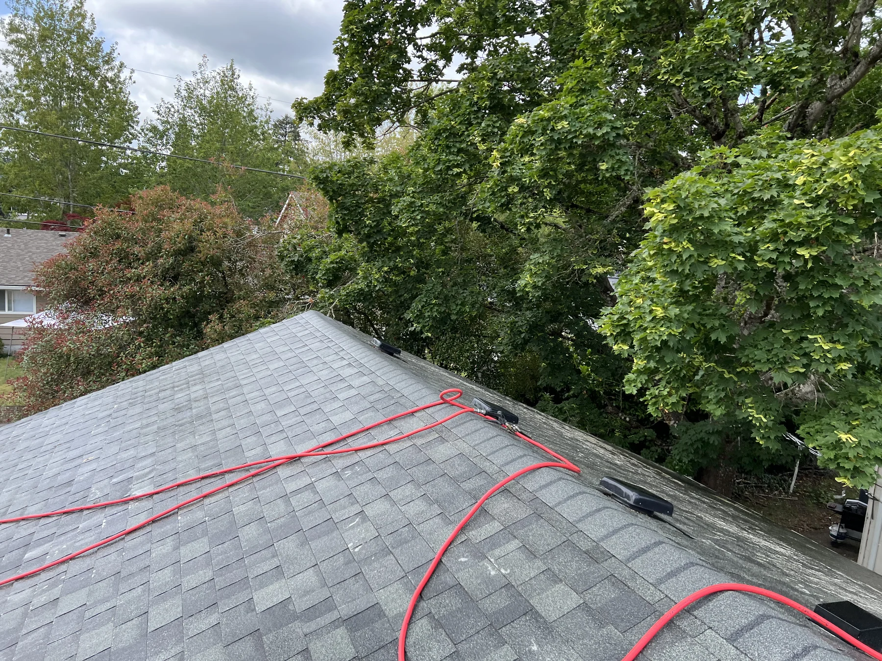 Treated asphalt shingle roof after roof moss treatment and gutter cleaning in Beaverton