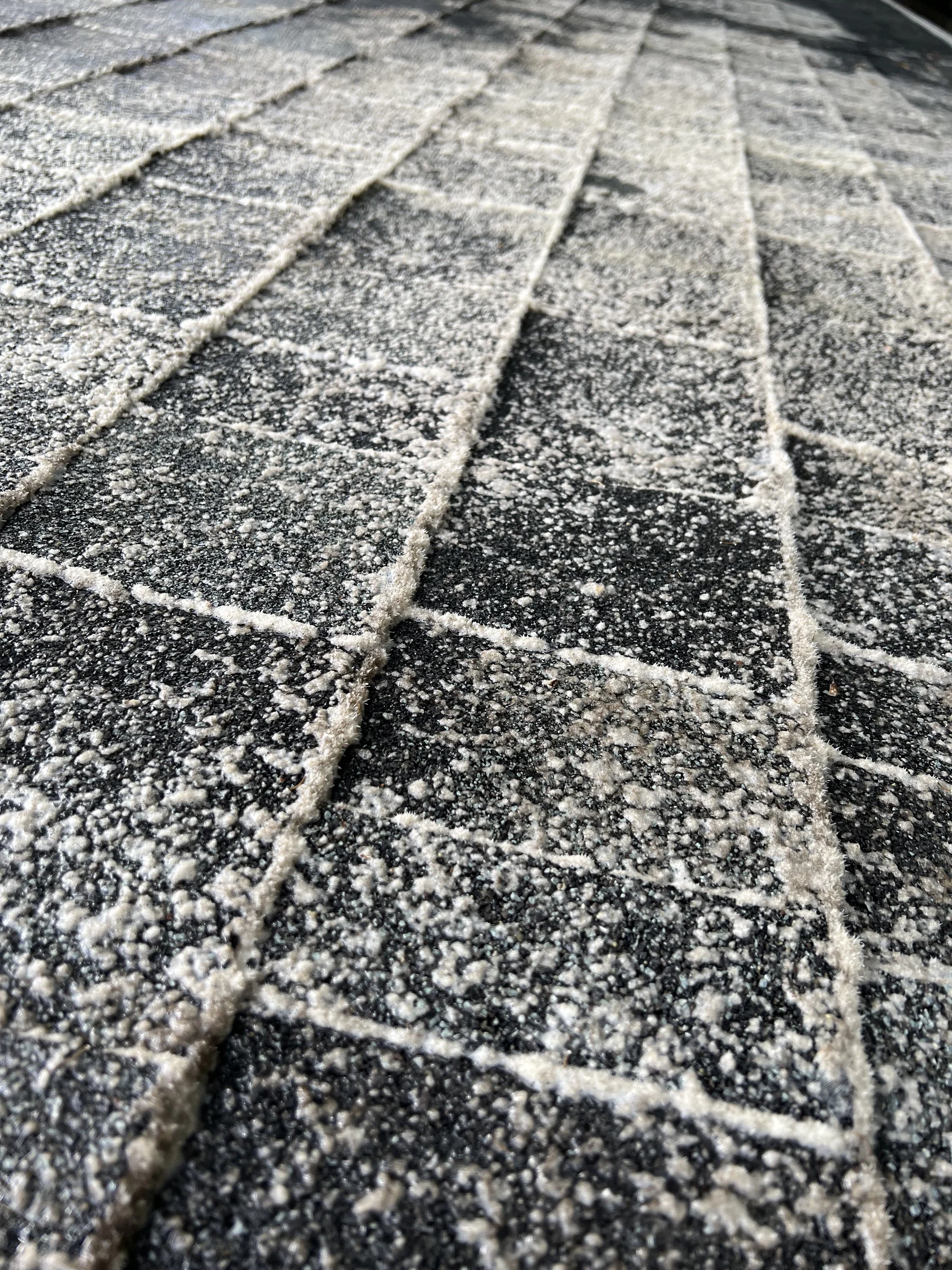 Close detail of roof moss treatment residue on asphalt shingle courses in Beaverton