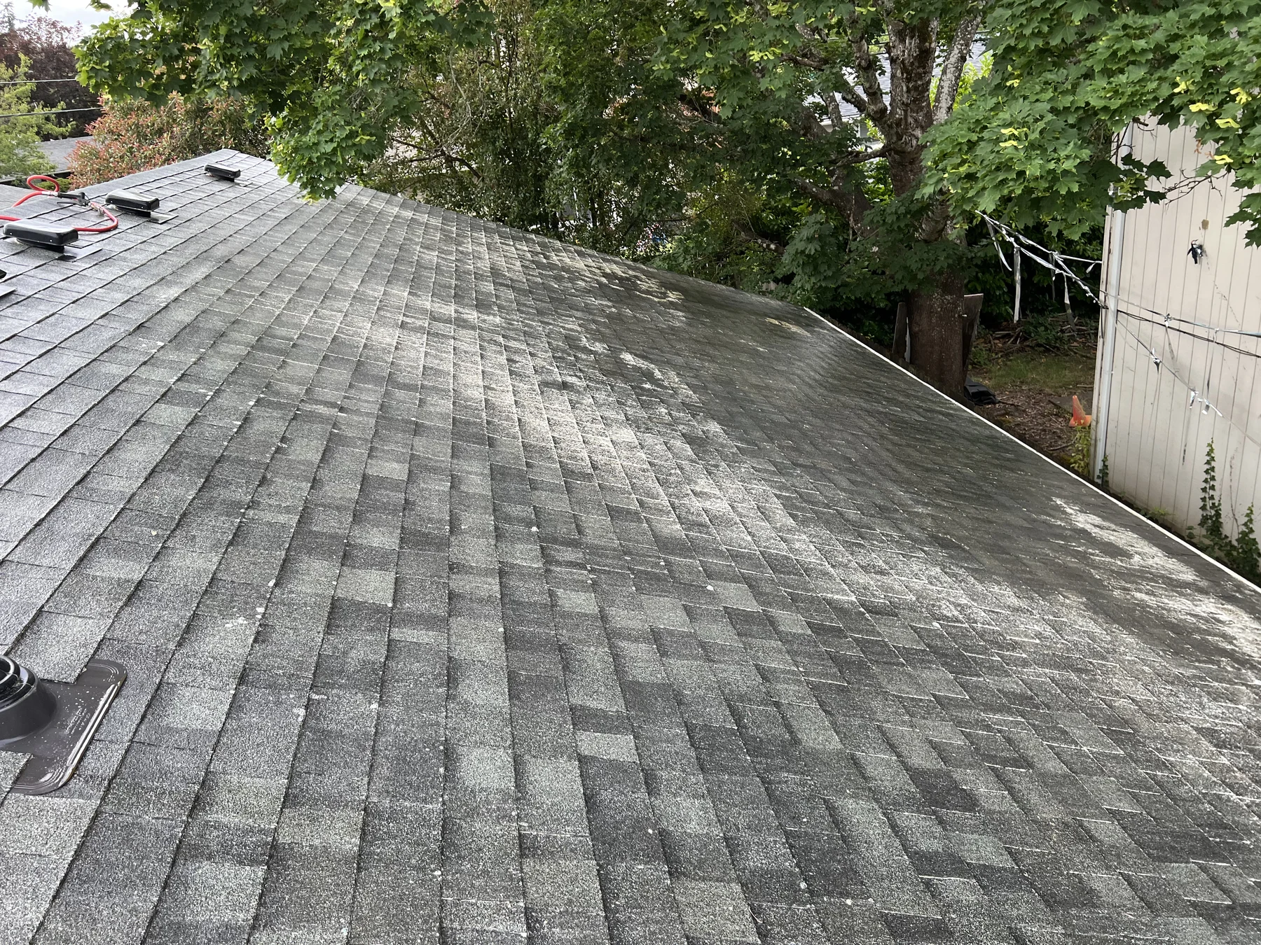 Tree-shaded Beaverton roof section before debris cleanup and moss treatment