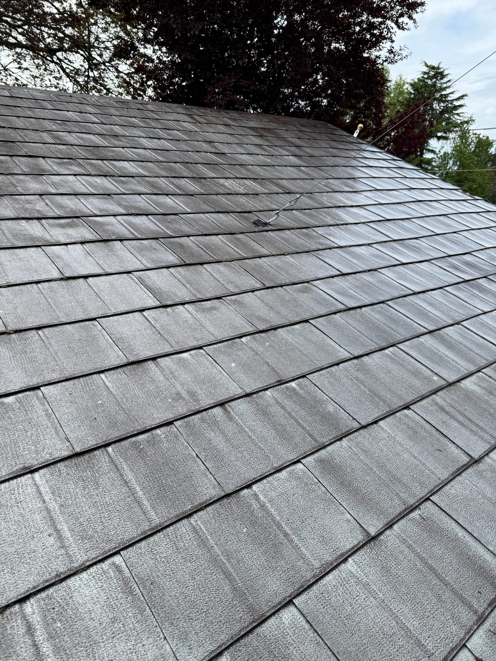 Clean roof after professional roof cleaning