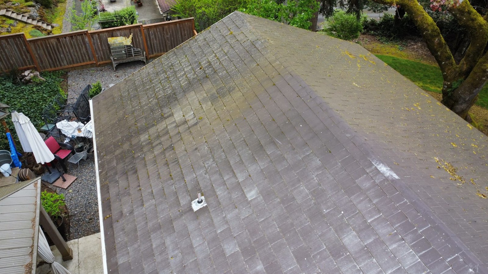 Roof before cleaning with moss and staining