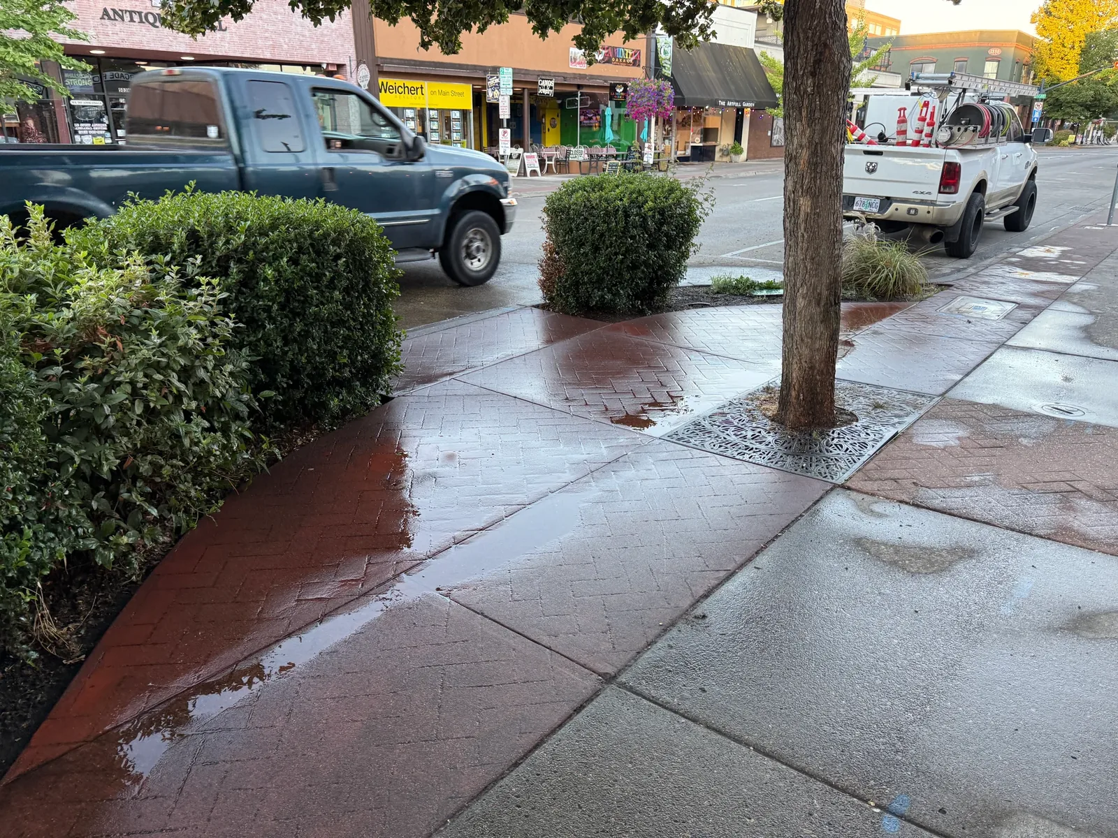 Cleaned stamped sidewalk in Downtown Hillsboro after the donated parade chalk cleanup