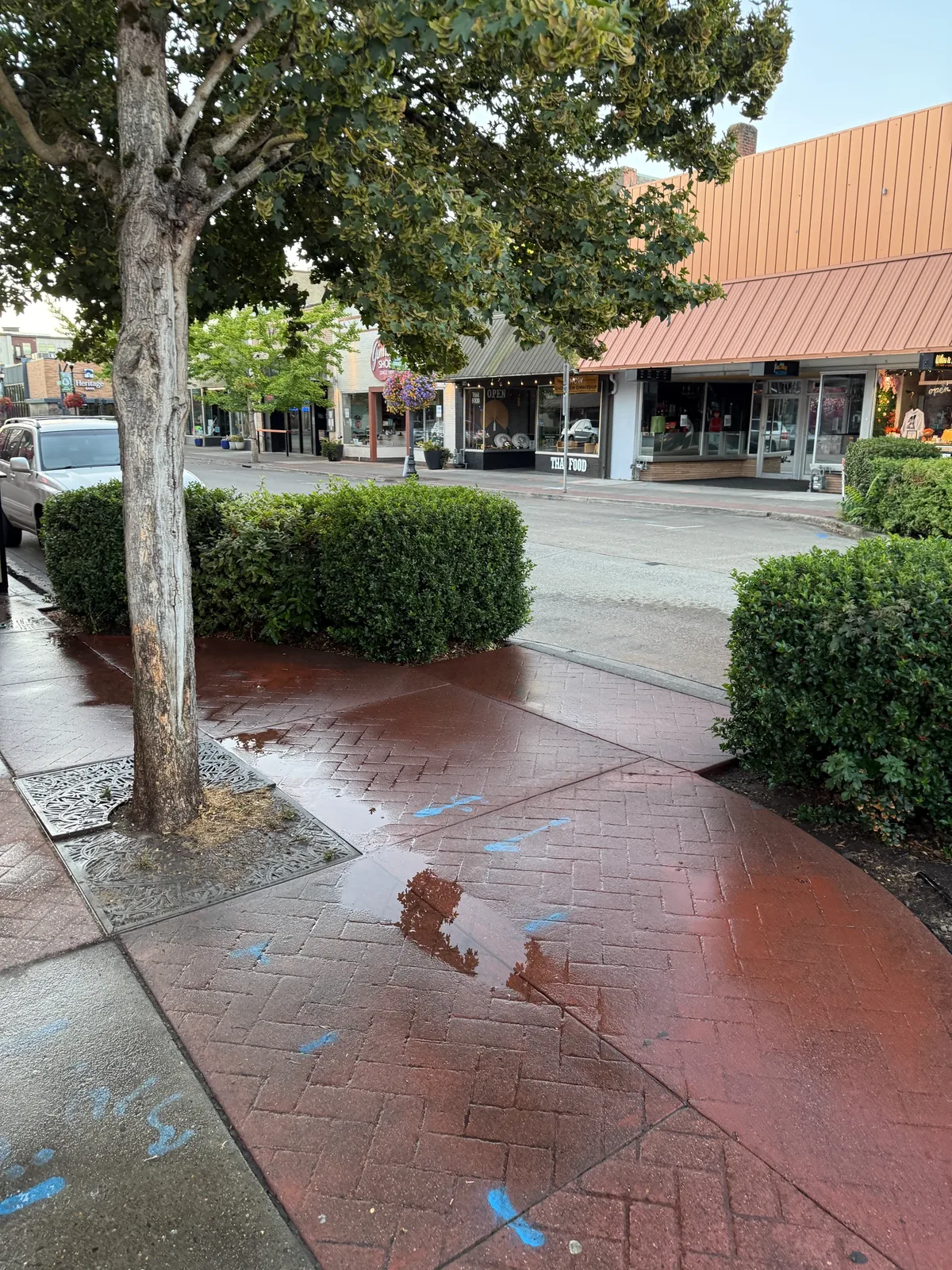 Cleaned stamped sidewalk and downtown storefronts after early-morning chalk removal