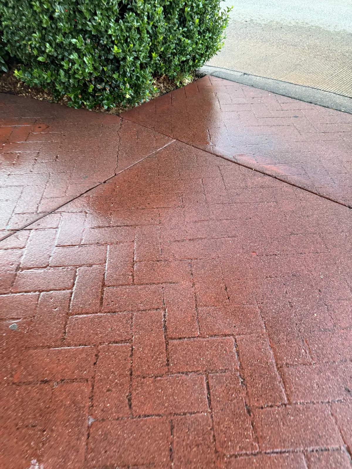 Wet stamped red sidewalk after parade chalk cleaning in Downtown Hillsboro