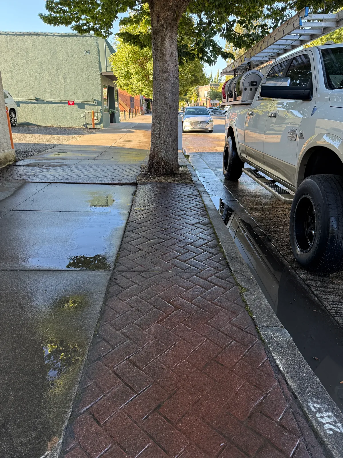 Wet stamped red walkway and adjacent concrete after cleaning in Downtown Hillsboro