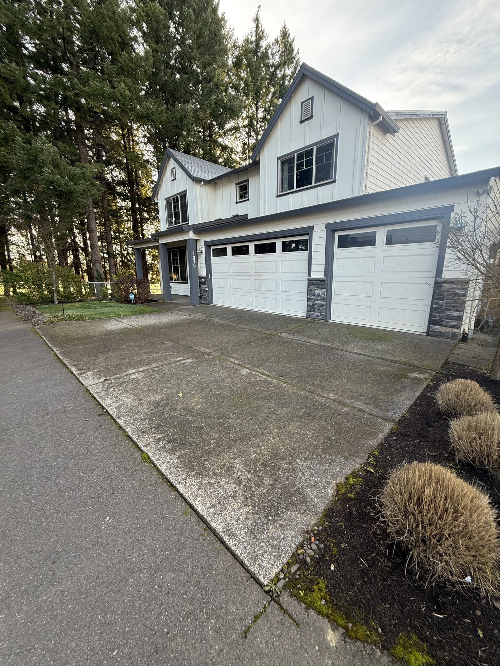 Driveway before curb appeal cleaning