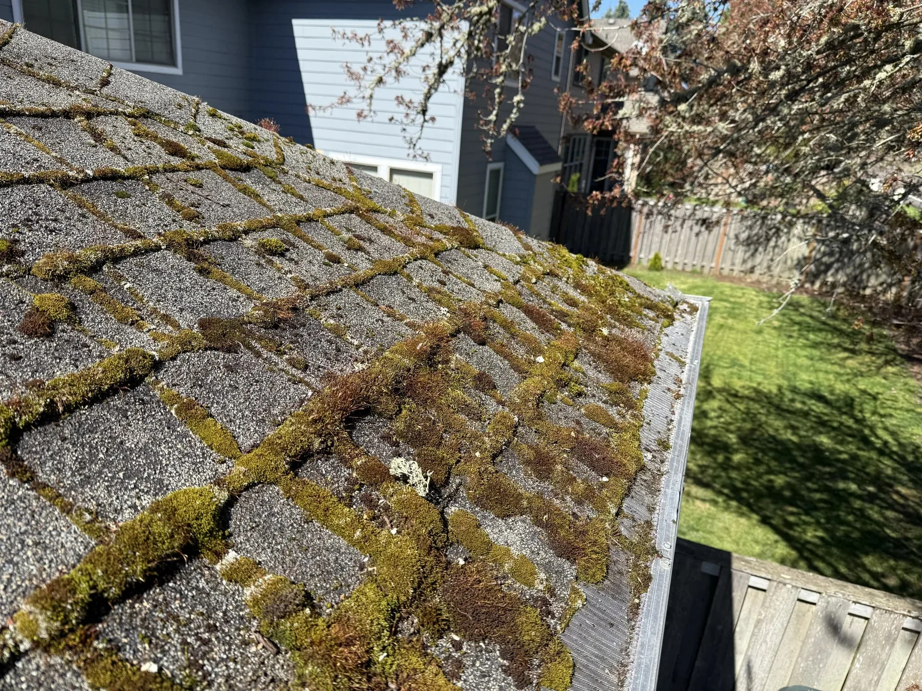 Exterior cleaning service in Beaverton Oregon