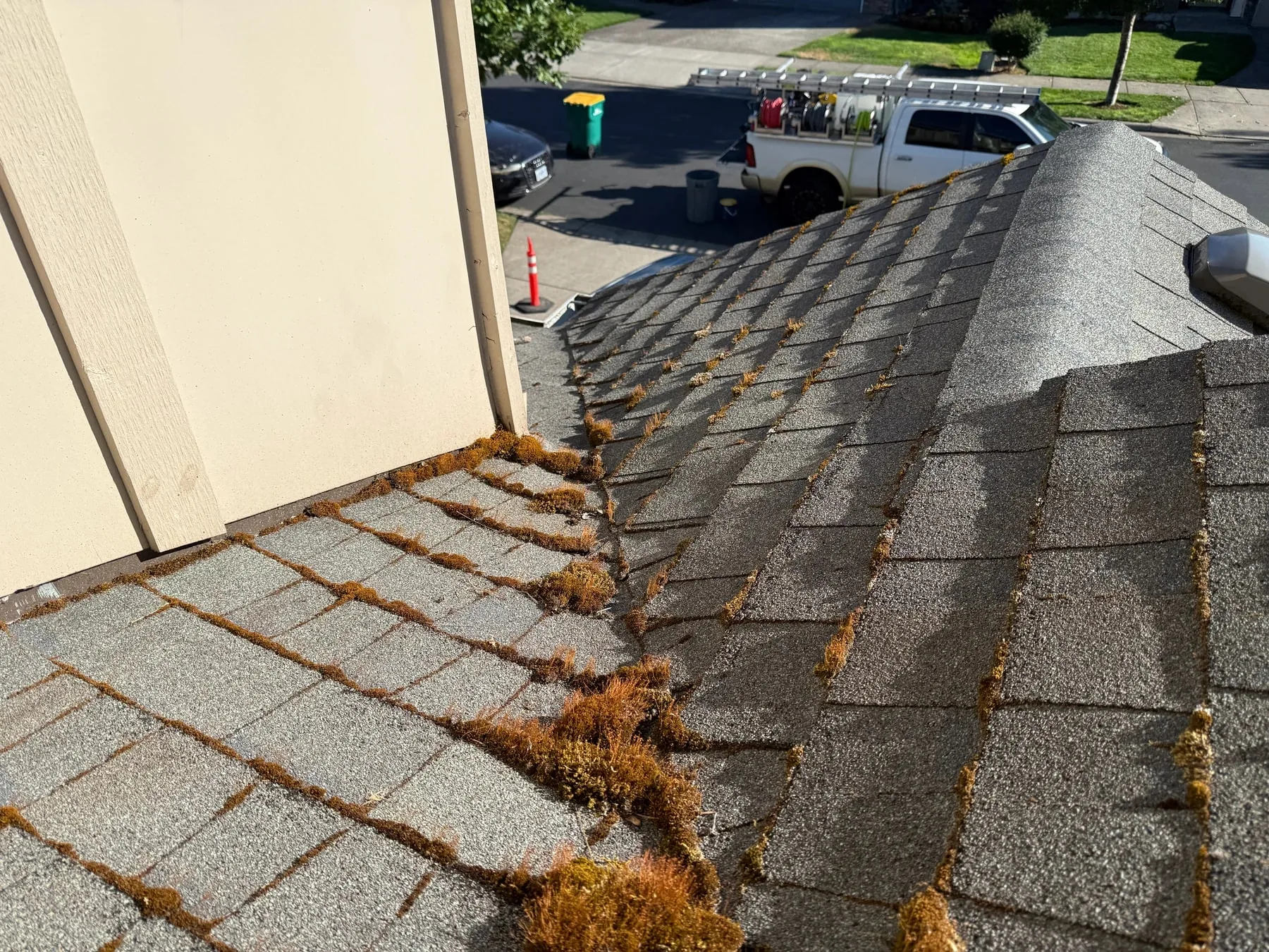 Exterior cleaning service in Forest Grove Oregon