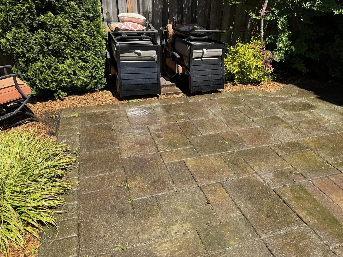 Dirty Forest Grove paver patio before cleaning with moss and weeds in the joints