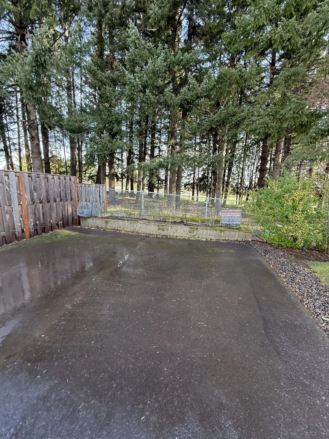 Finished Forest Grove driveway pressure washing near a shaded tree line