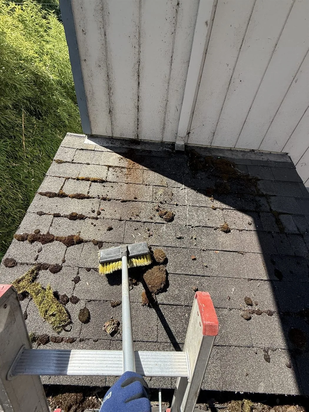Manual moss removal from asphalt shingles during roof cleaning in Forest Grove Oregon