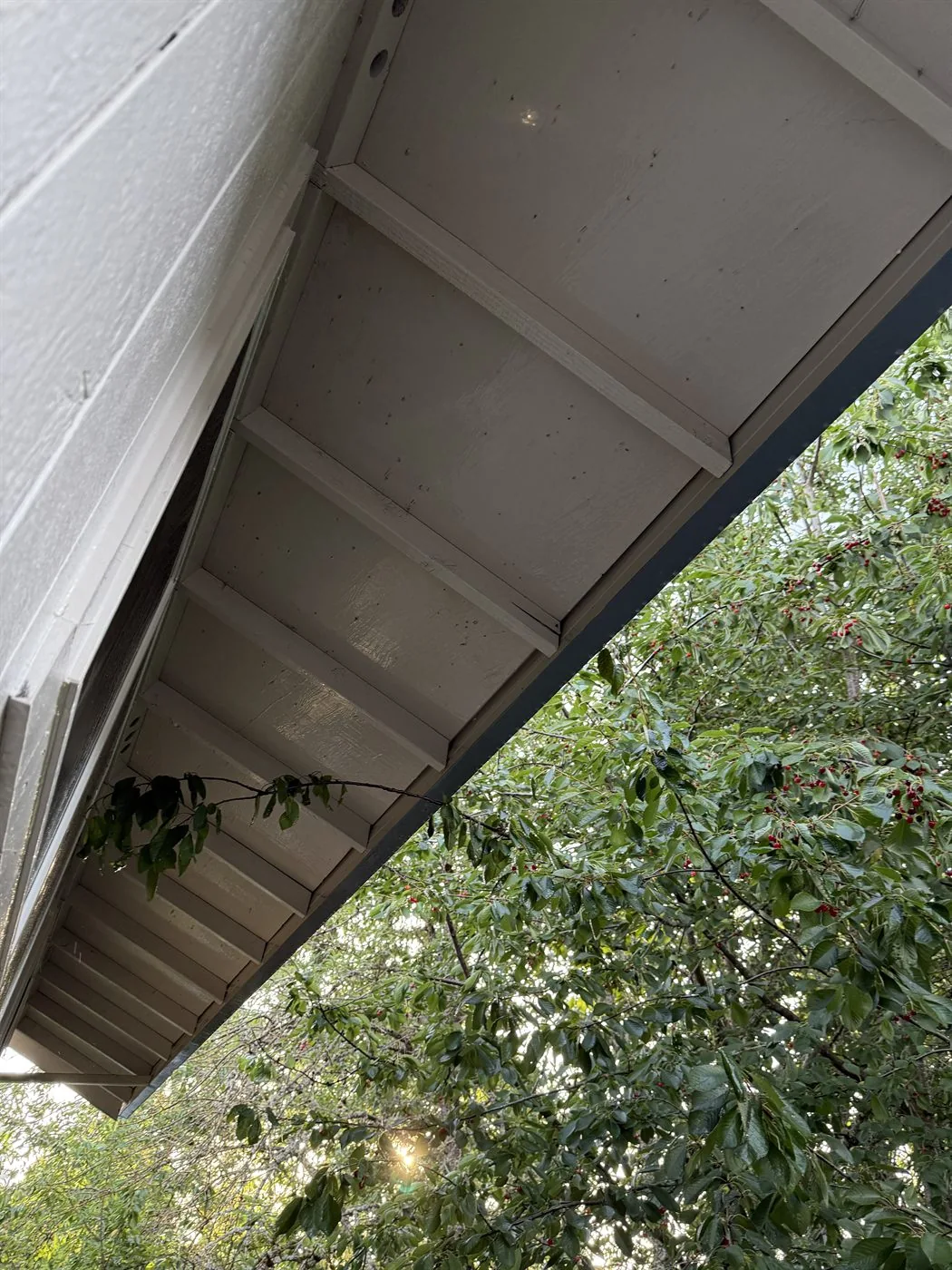Cleaned soffit after soft washing a Forest Grove fourplex exterior