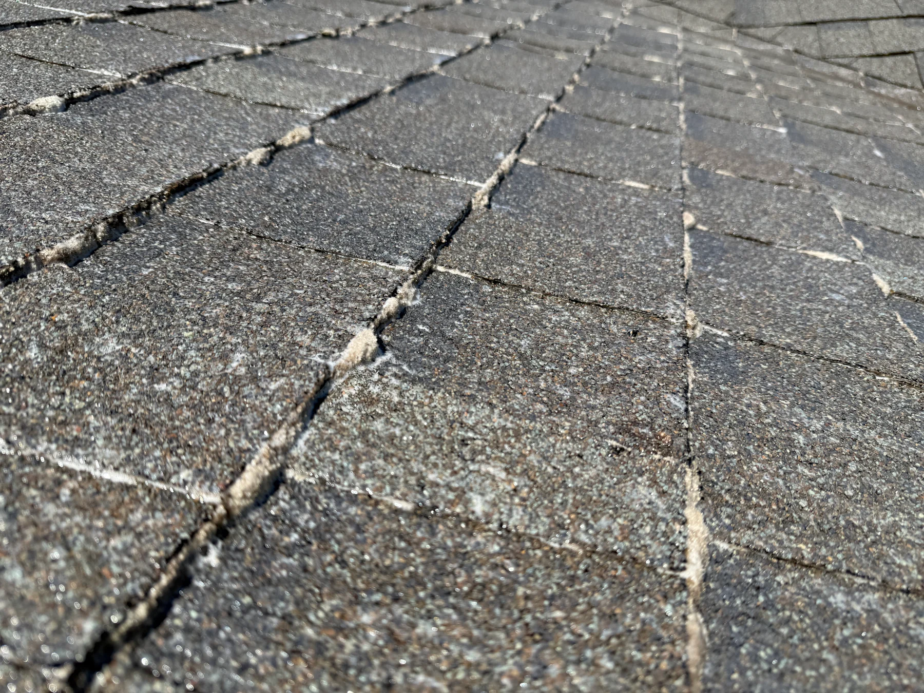 Clean asphalt shingle roof close-up after Forest Grove roof cleaning
