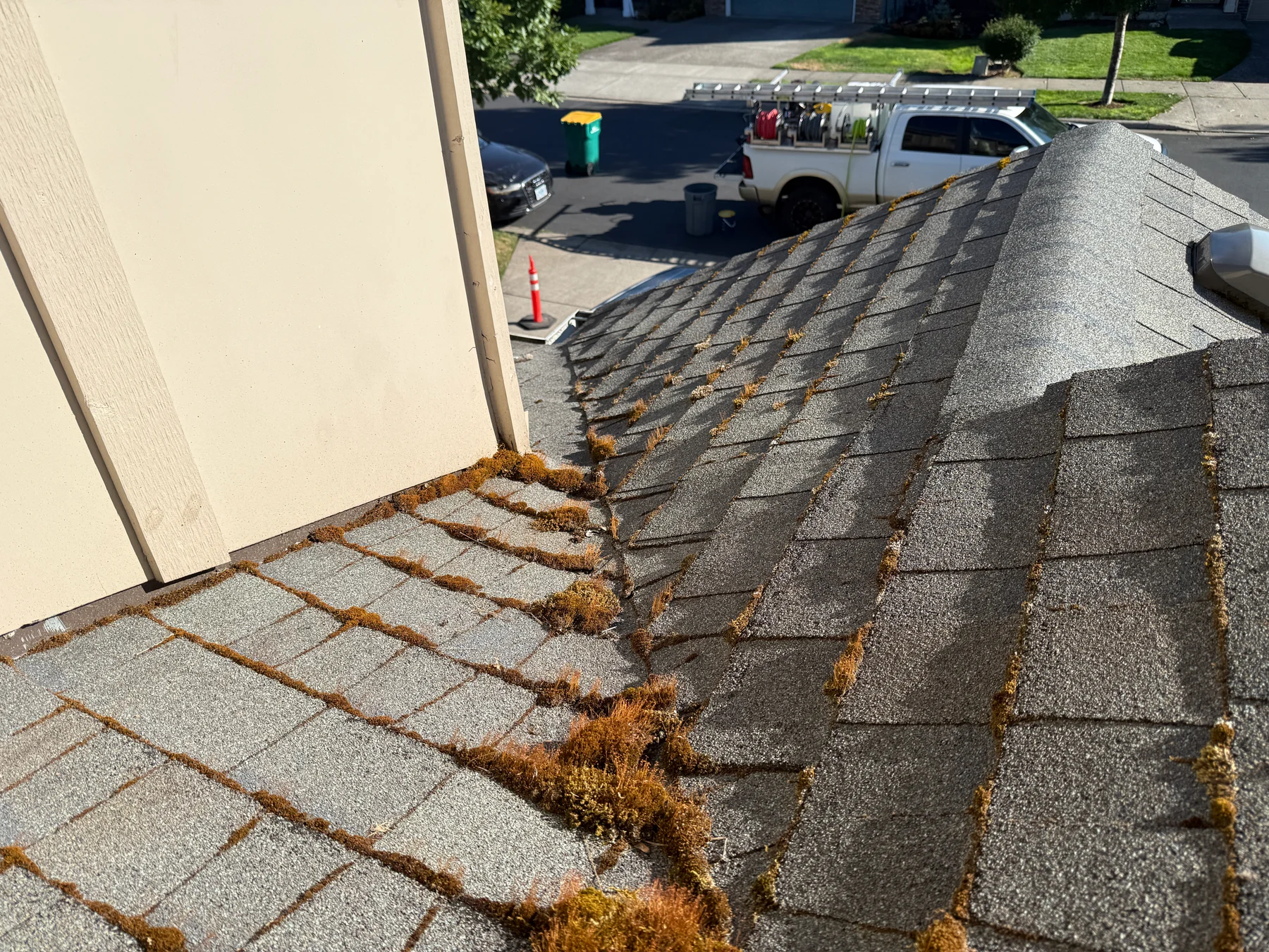 Close view of moss in shingle joints before Forest Grove roof cleaning