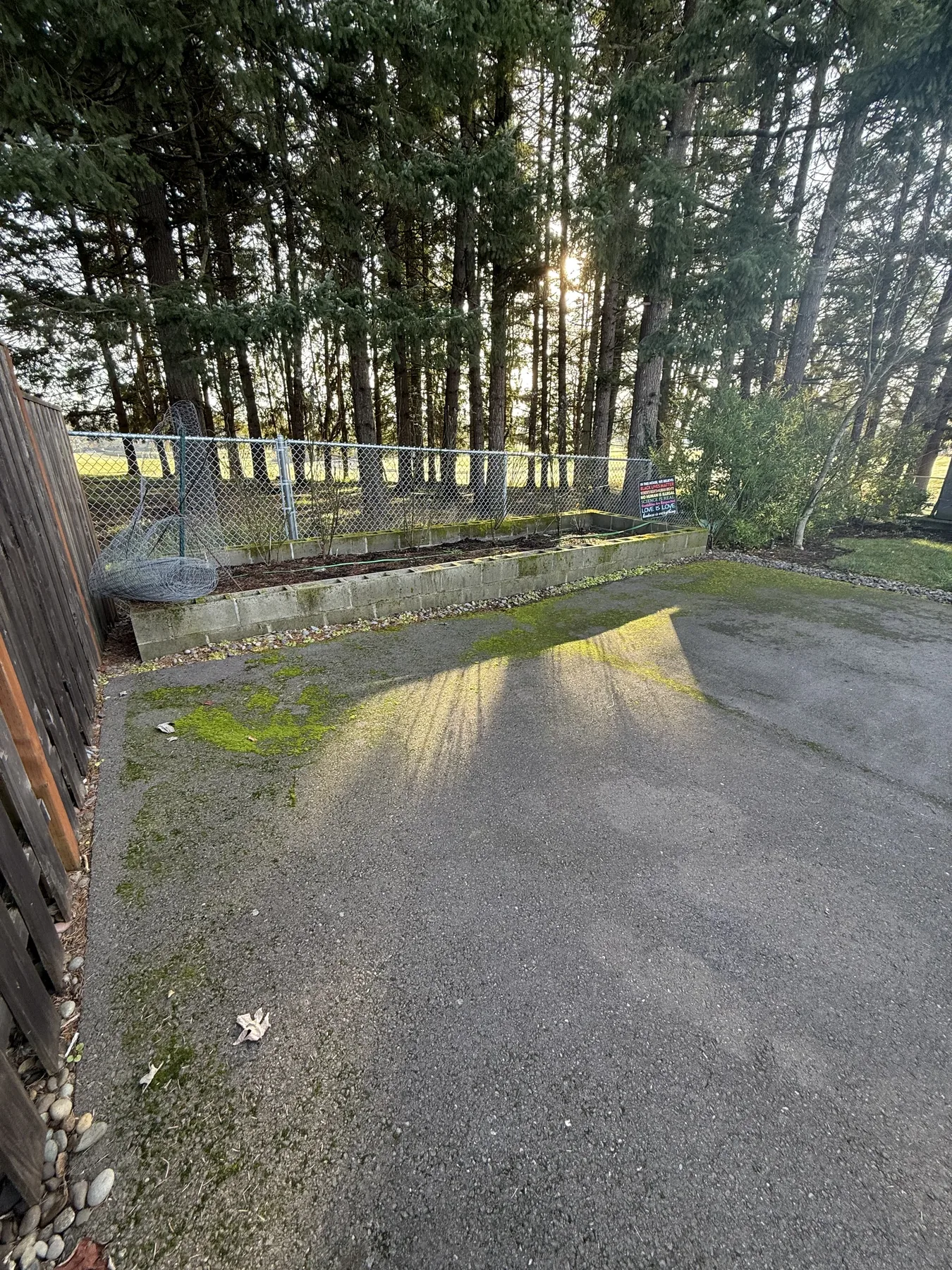 Shaded Forest Grove driveway before pressure washing with organic buildup near the edge