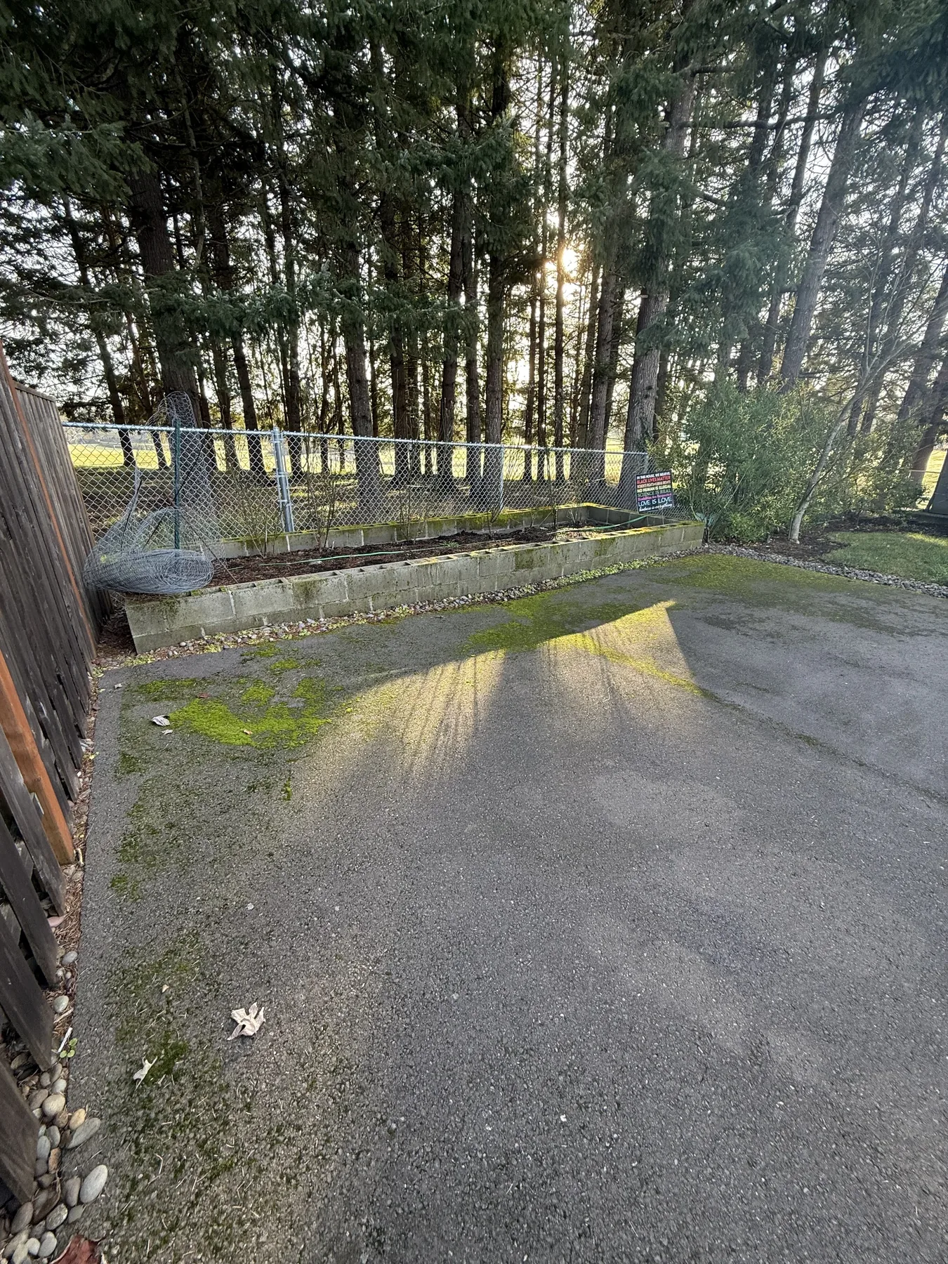 Forest Grove concrete driveway before cleaning with darker shaded edge near tall trees