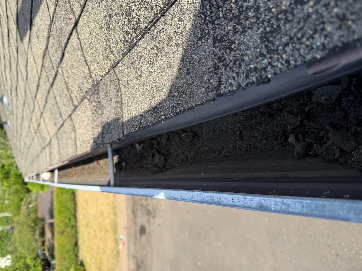 Dirty gutter with roof debris before gutter cleaning in Beaverton Oregon
