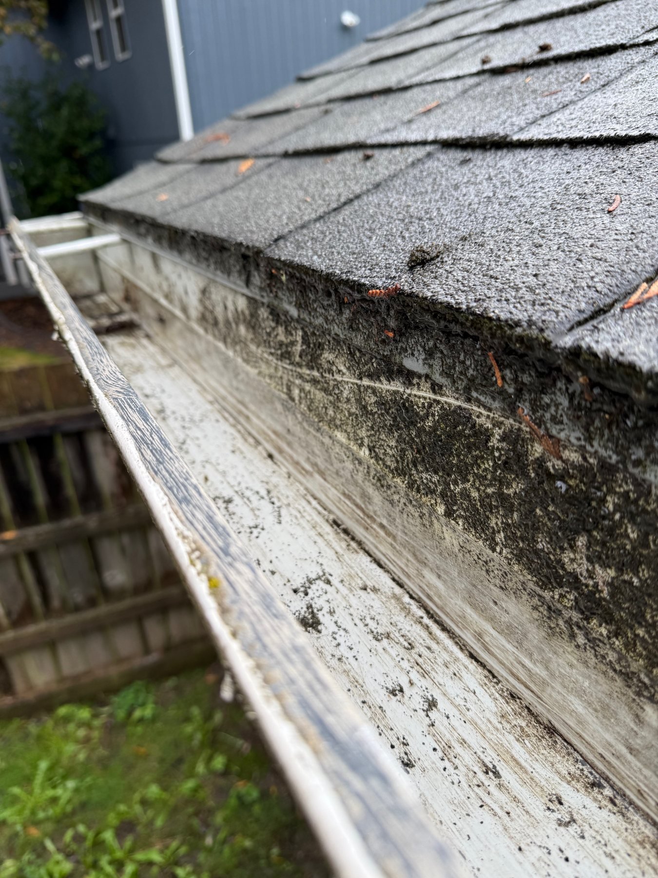 gutter cleaning debris along a roof edge in Forest Grove gutter cleaning debris along a roof edge in Forest Grove