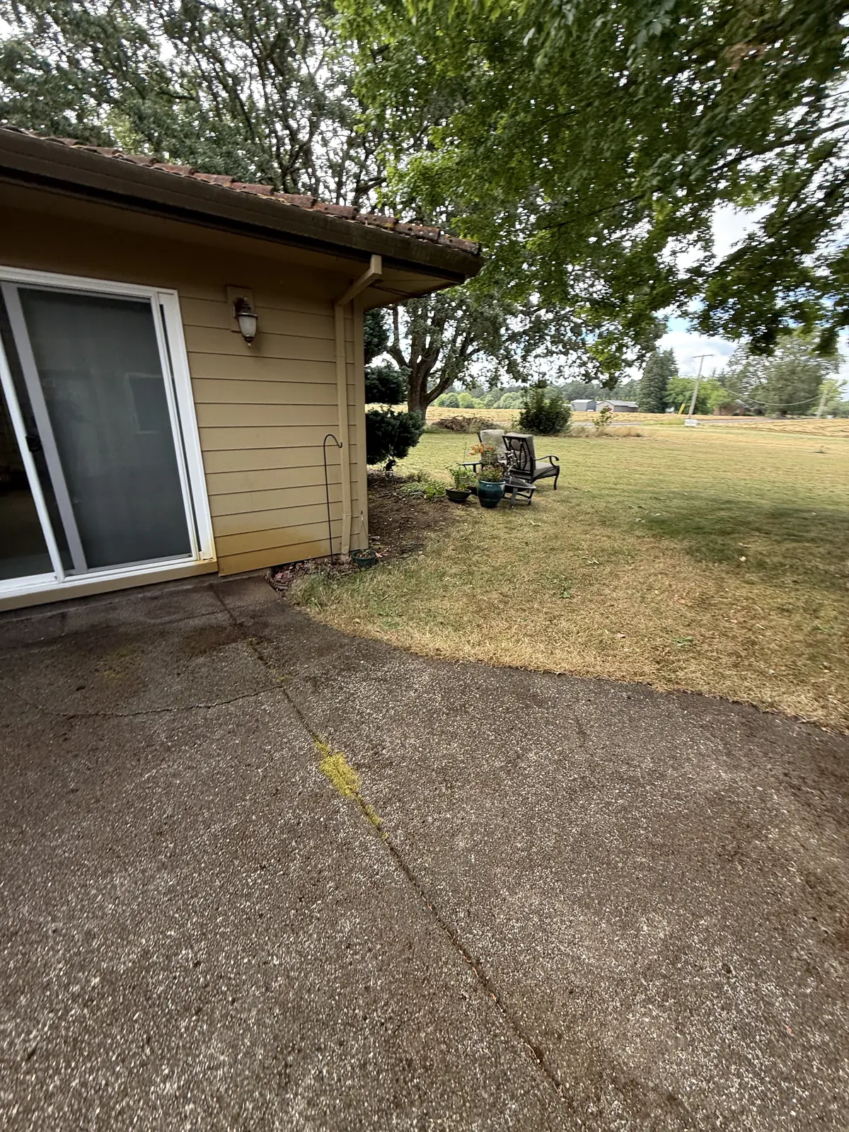 Backyard concrete patio with moss along the edges before cleaning in Hillsboro Oregon