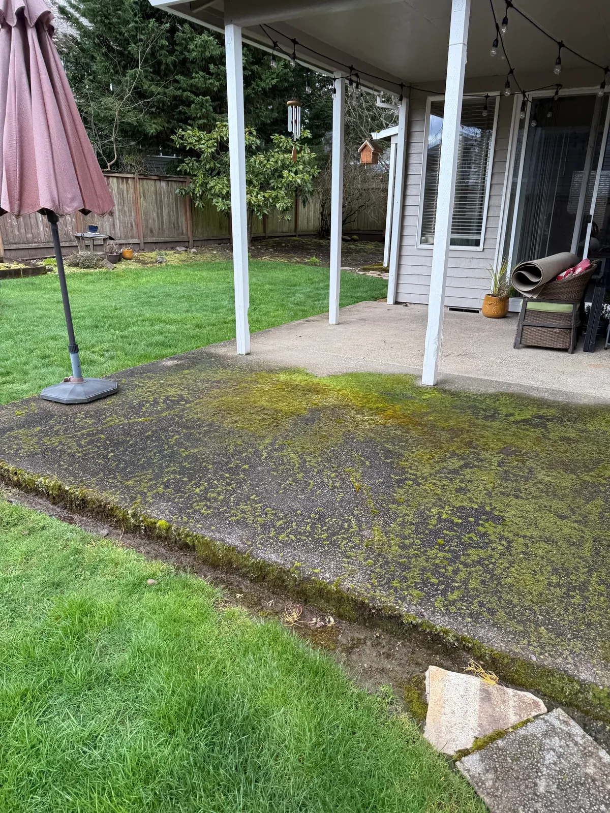 Covered back patio with heavy moss before pressure washing in Hillsboro