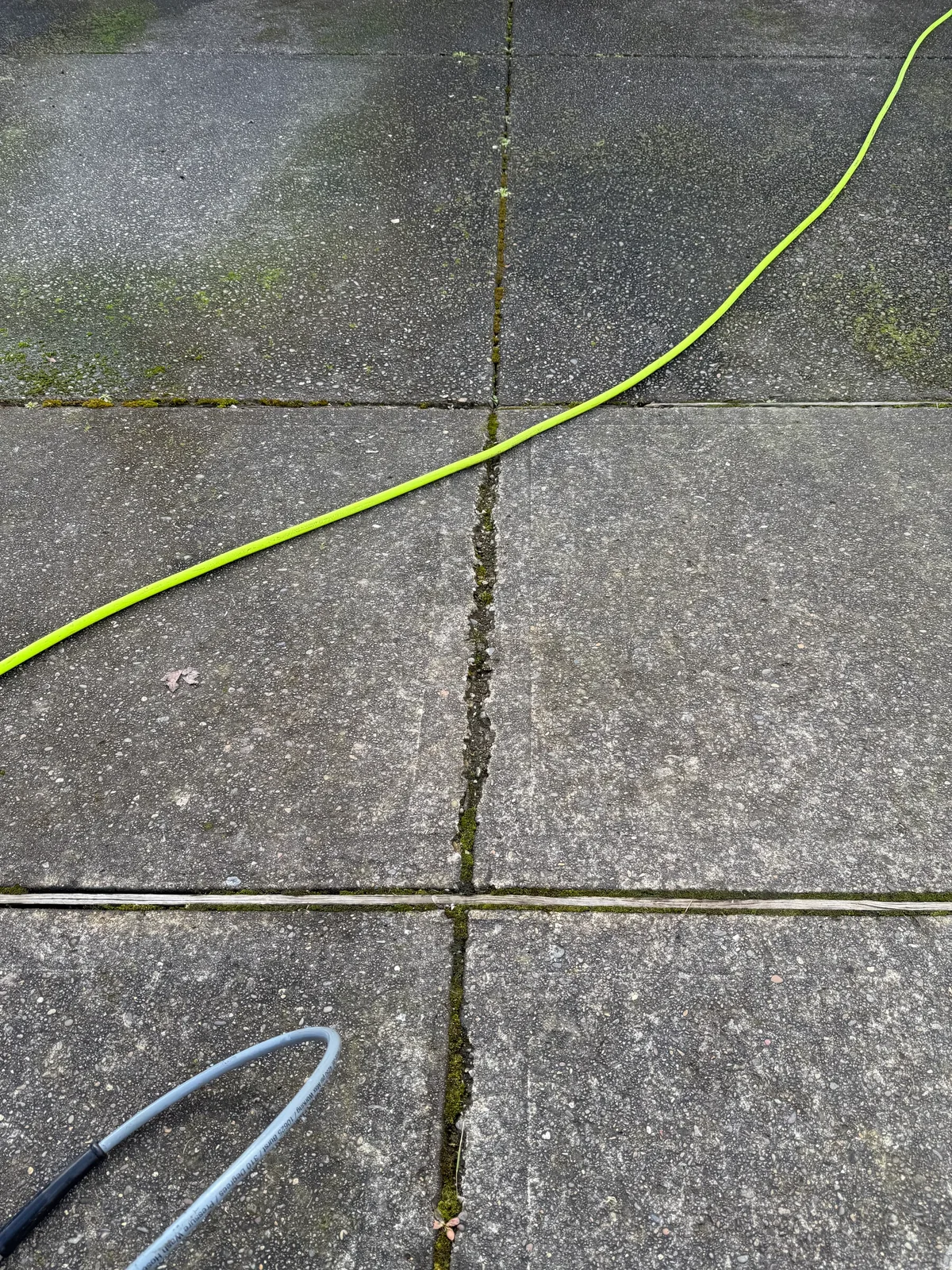 Close view of mossy concrete driveway joints before cleaning in Hillsboro