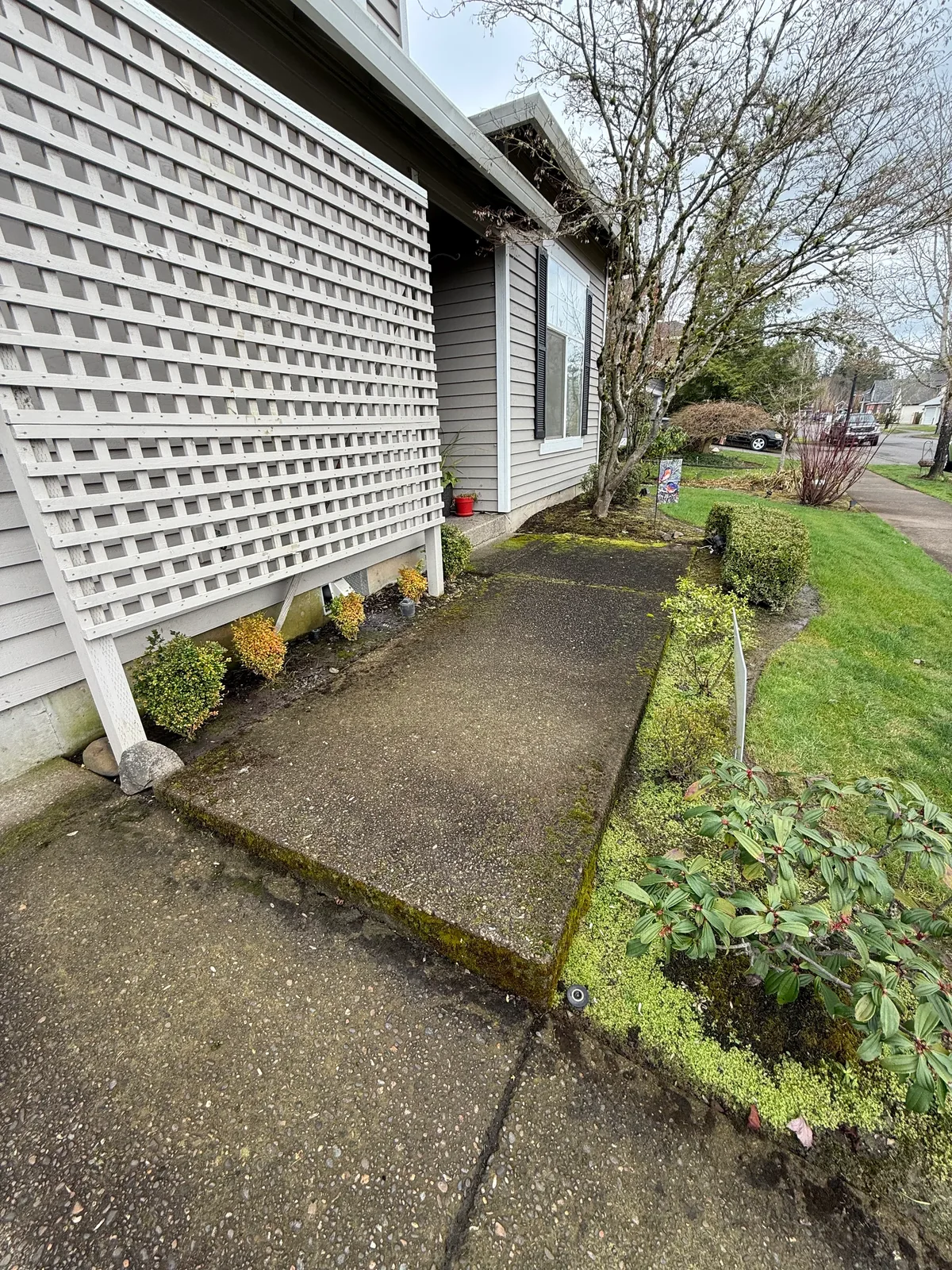 Mossy front walkway before pressure washing beside lattice and landscaping in Hillsboro